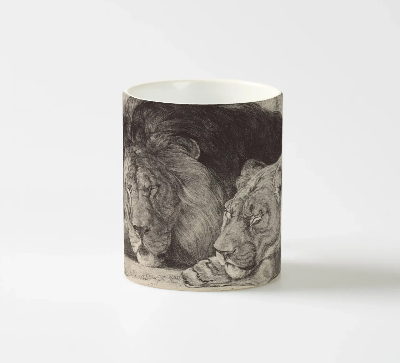 Lion and lioness sleeping tazza in ceramica da apoloprints