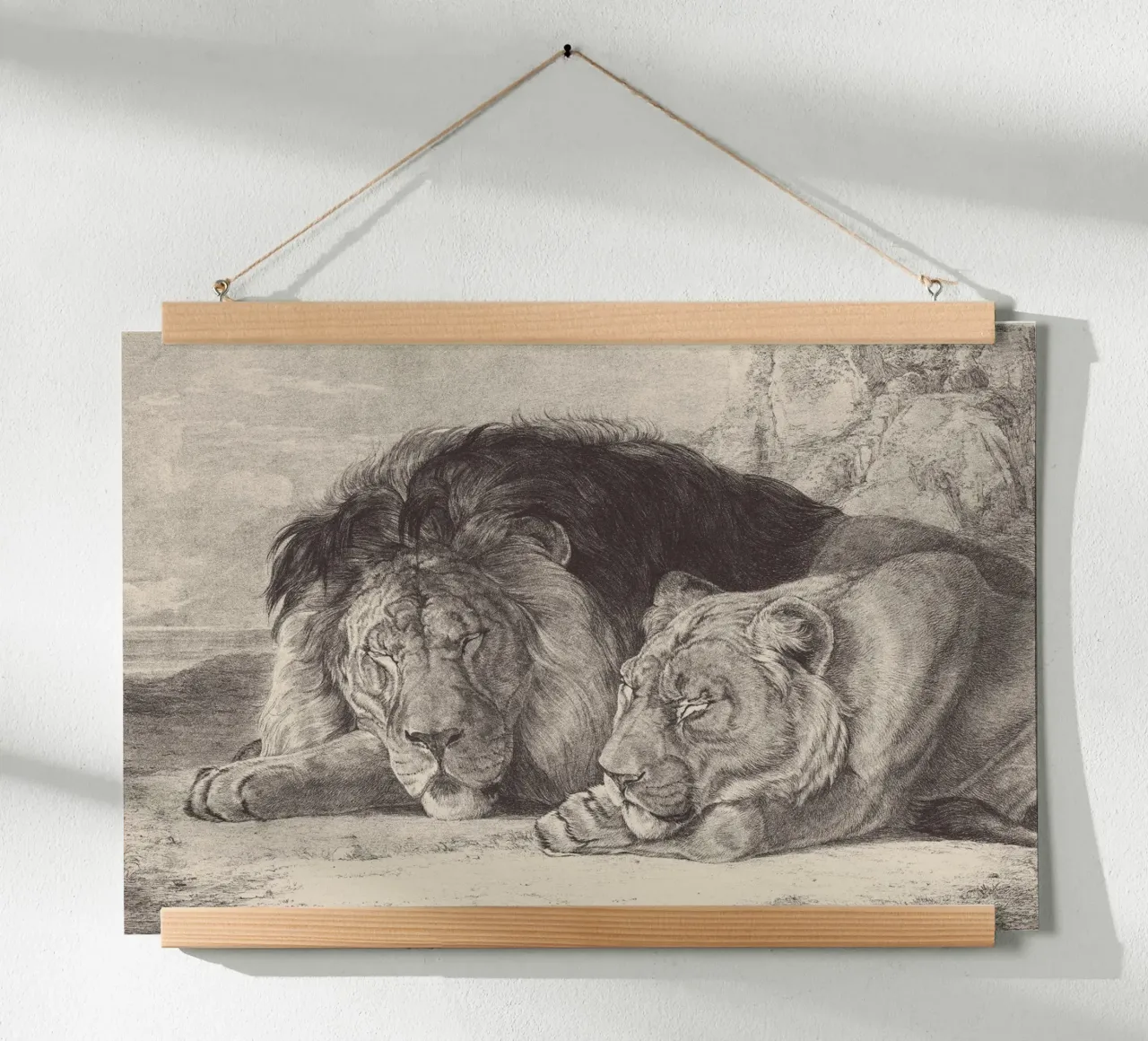 Lion and lioness sleeping poster con telaio in plastica da apoloprints