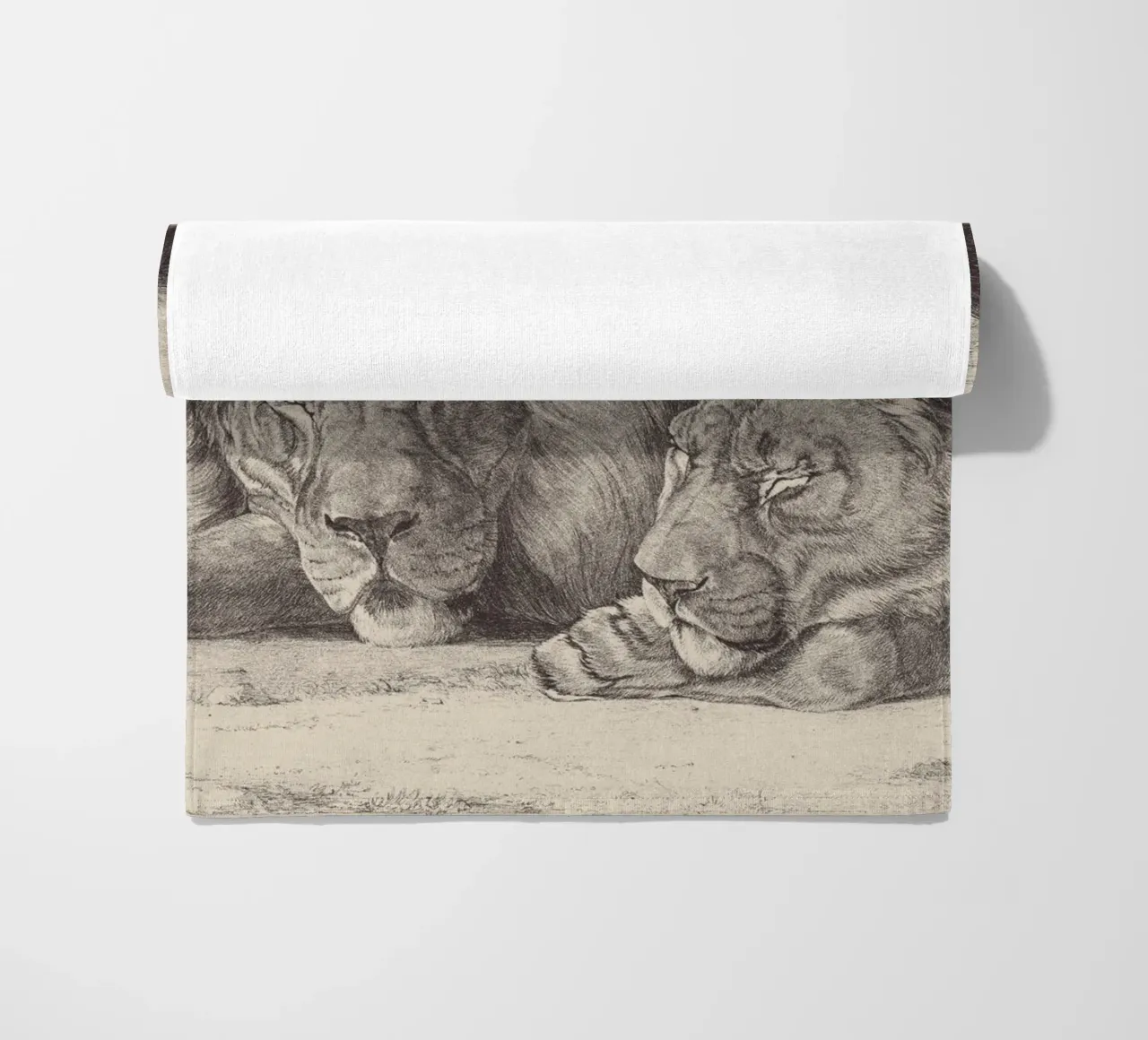 Lion and lioness sleeping telo mare da apoloprints