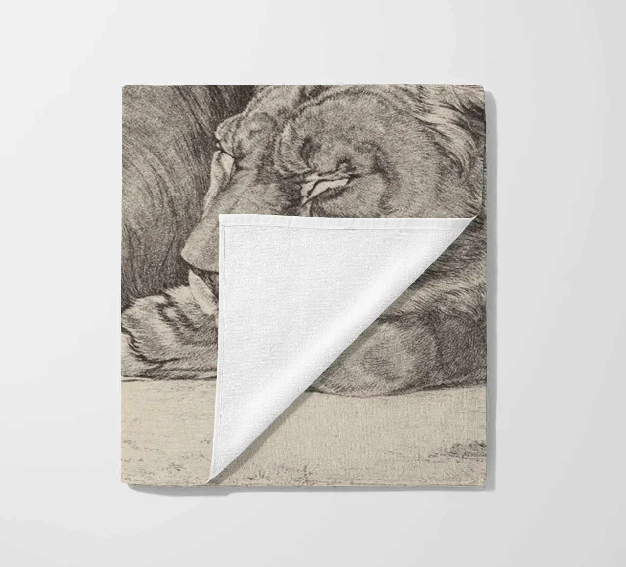 Lion and lioness sleeping telo mare da apoloprints