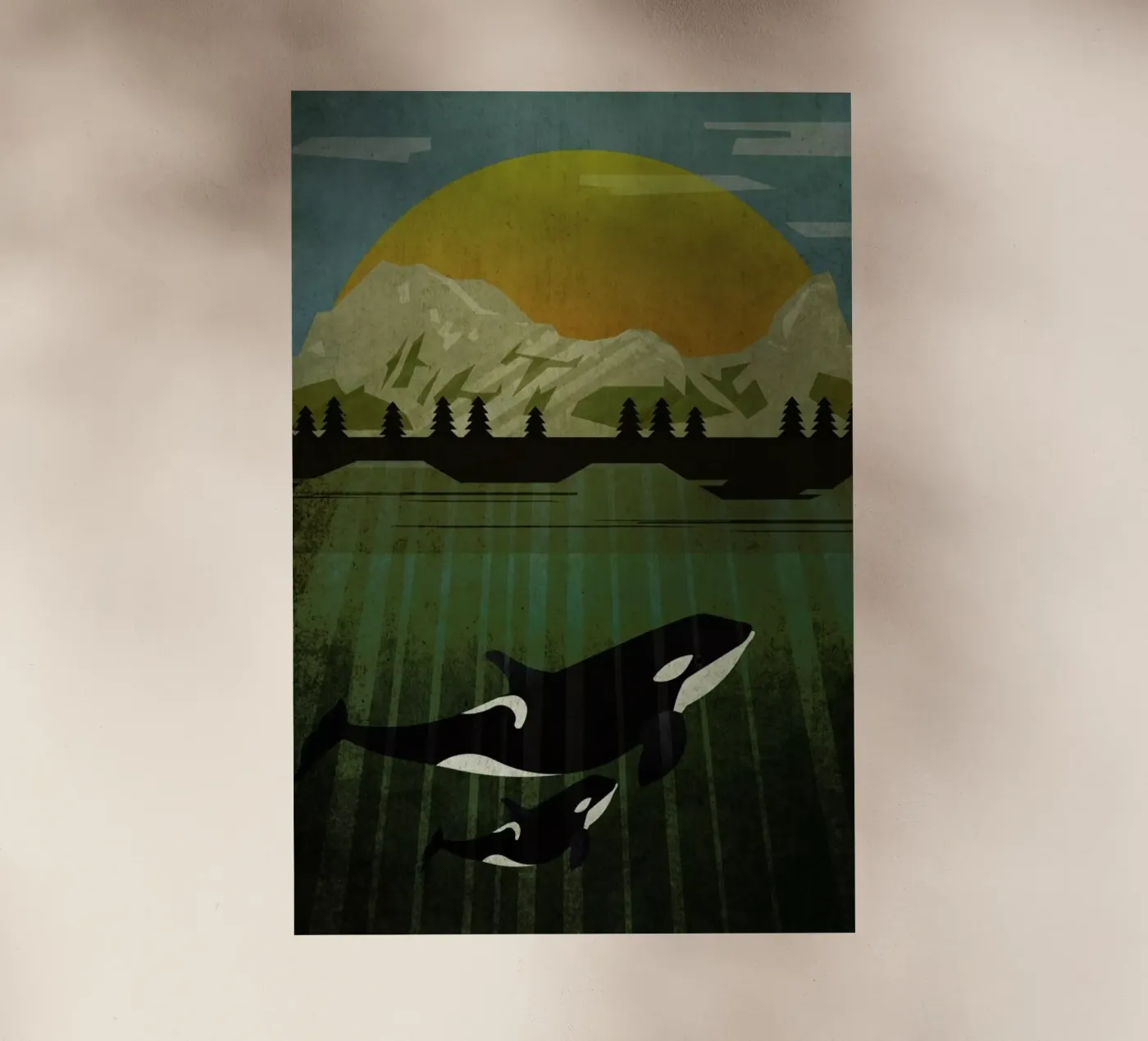 Orka pellicola backlit da Sabrina Ziegenhorn