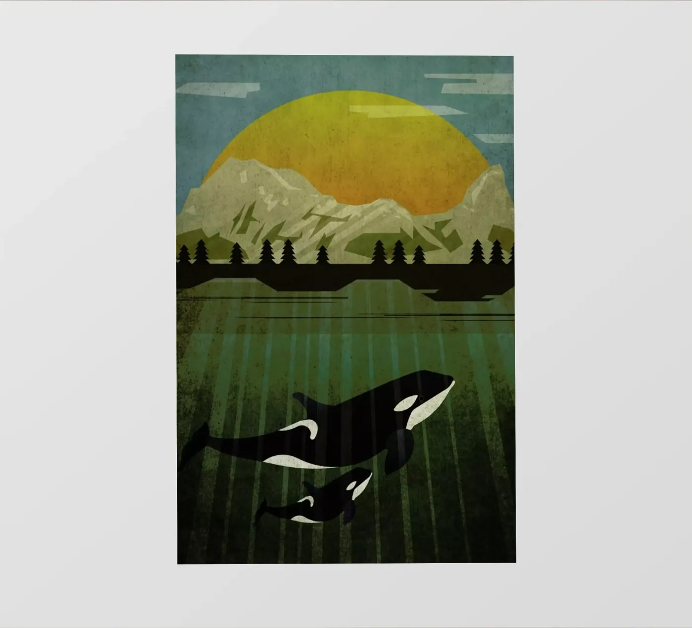 Orka pellicola backlit da Sabrina Ziegenhorn