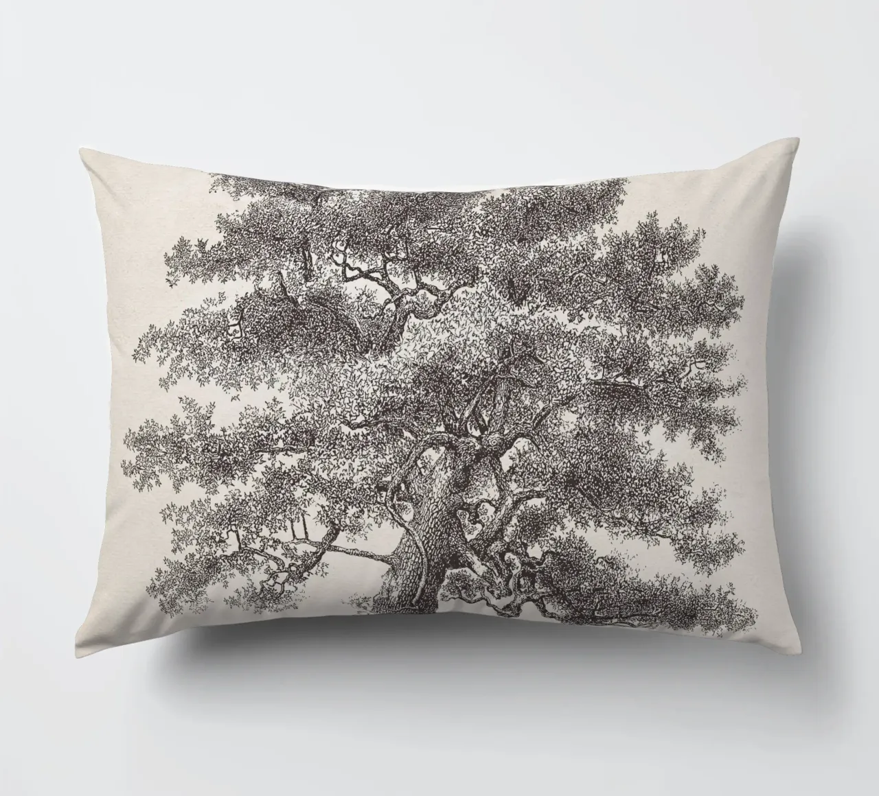 Tree Sketch - Oak cuscino da apoloprints