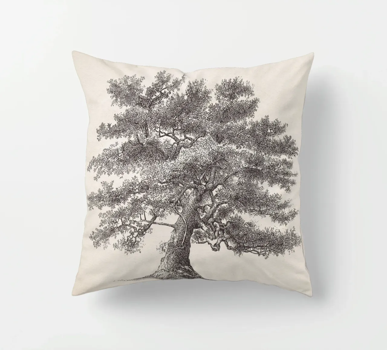 Tree Sketch - Oak cuscino da apoloprints