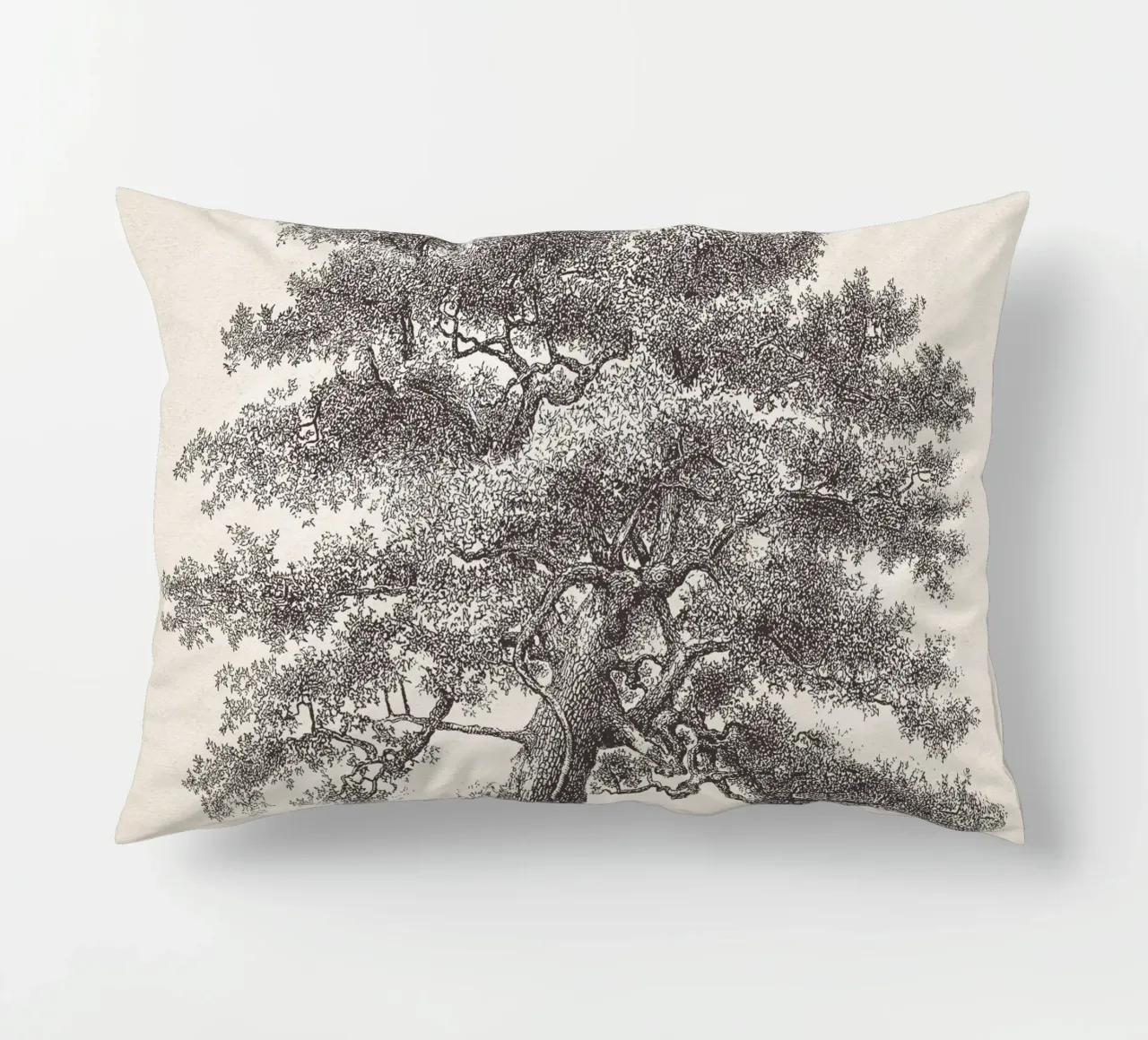 Tree Sketch - Oak cuscino da apoloprints