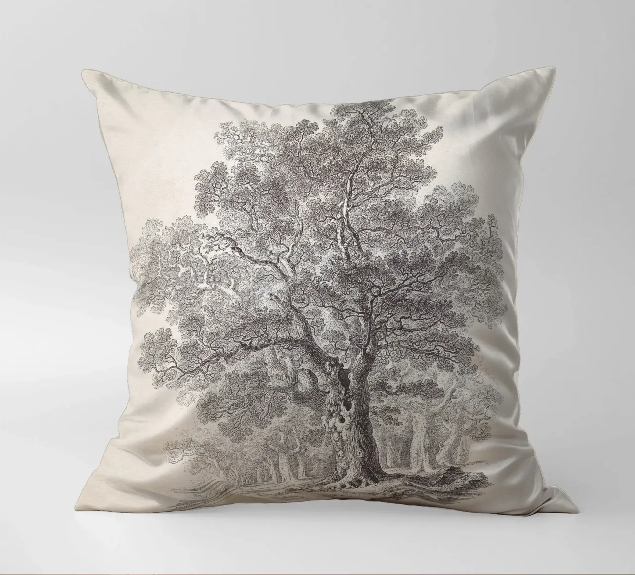 Tree Sketch - Oak Forest cuscino da apoloprints