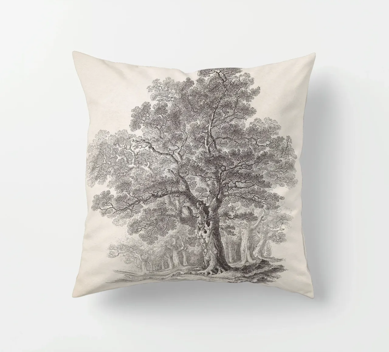 Tree Sketch - Oak Forest cuscino da apoloprints
