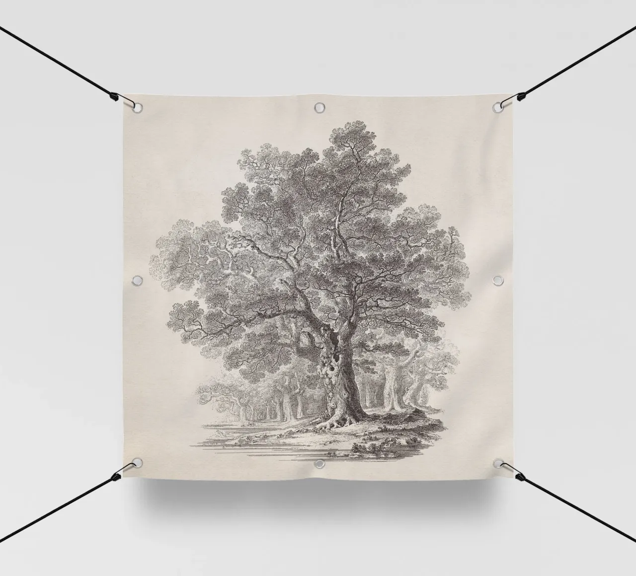 Tree Sketch - Oak Forest telo in pvc da apoloprints