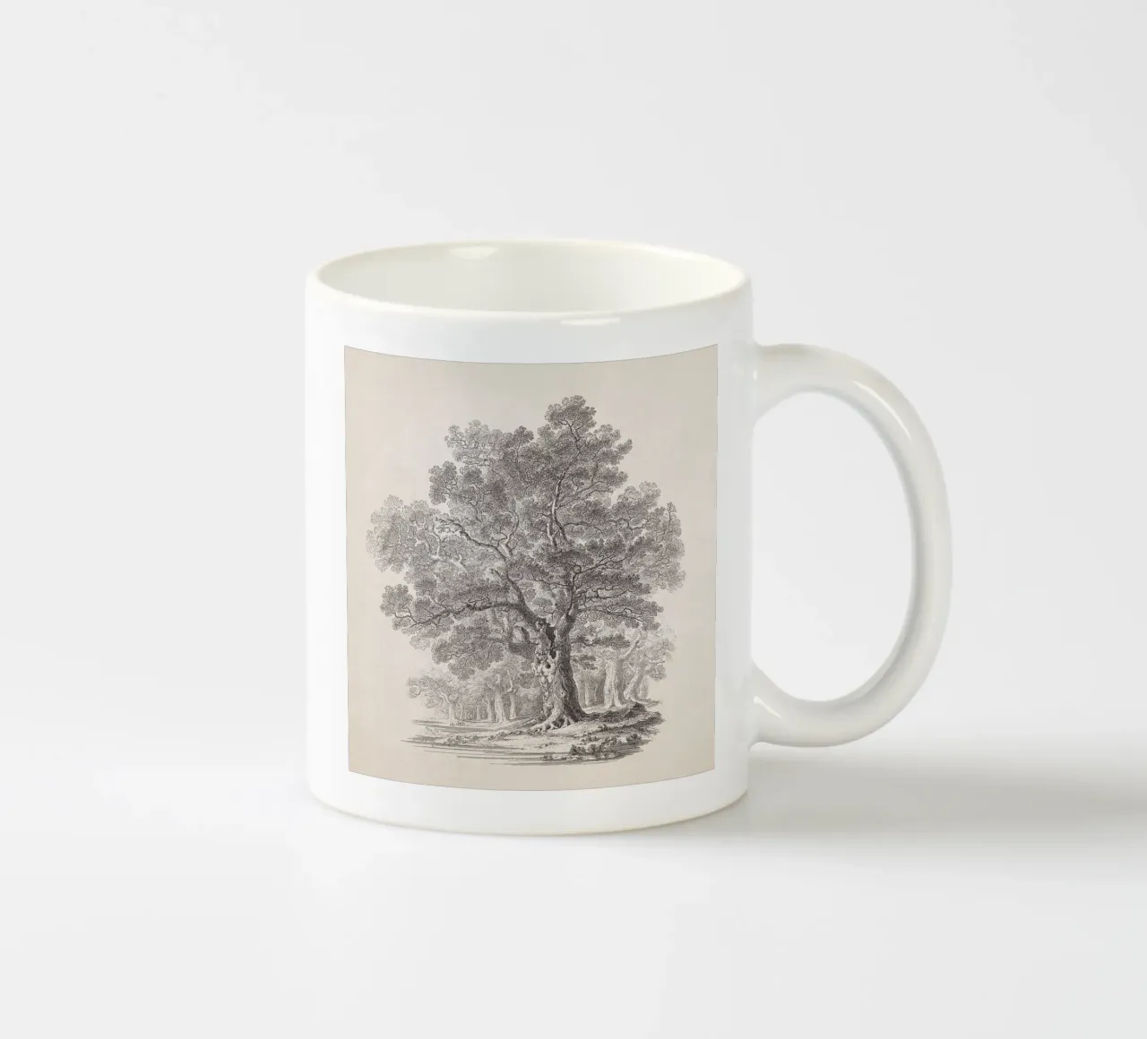 Tree Sketch - Oak Forest tazza in ceramica da apoloprints