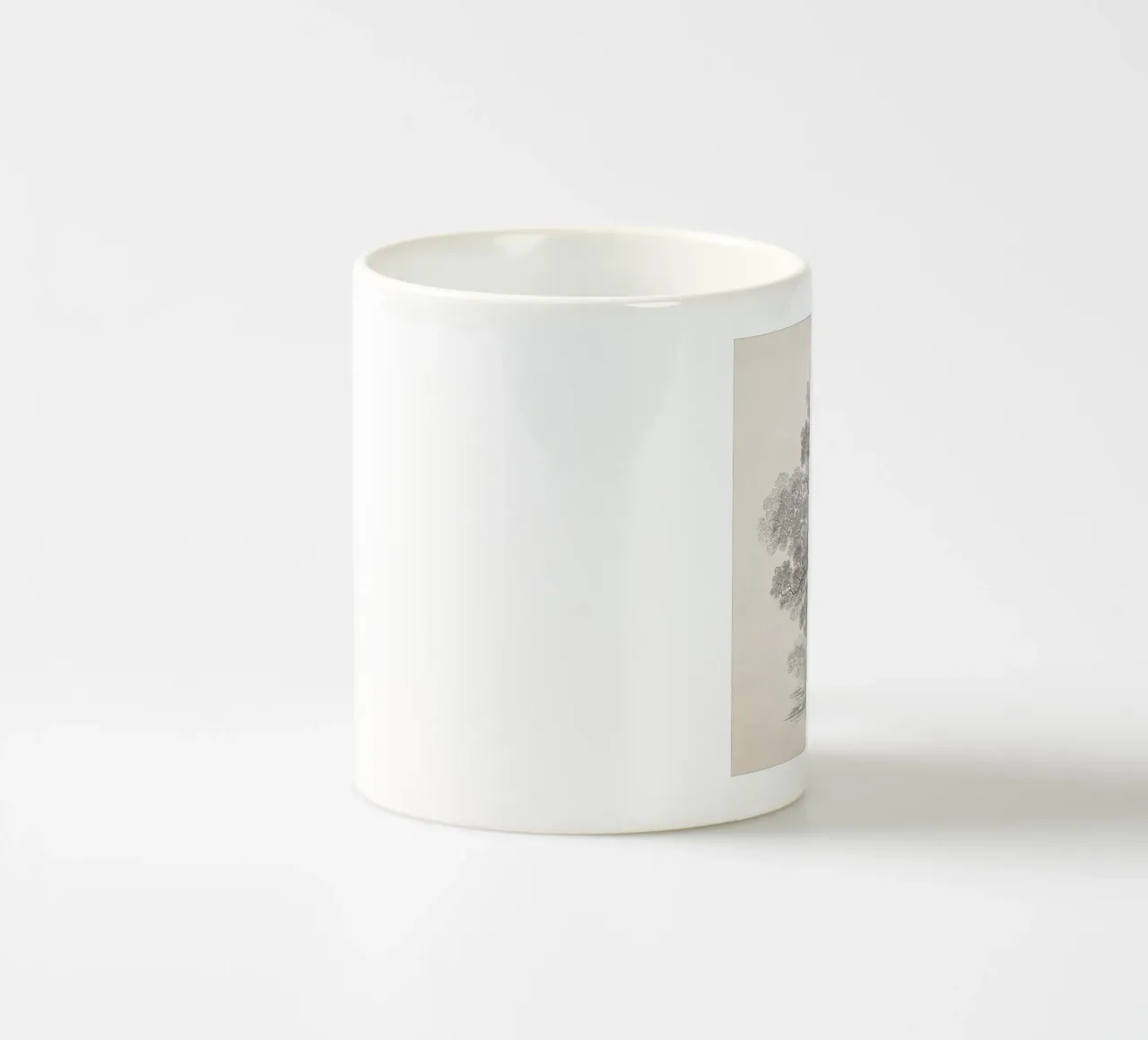 Tree Sketch - Oak Forest tazza in ceramica da apoloprints
