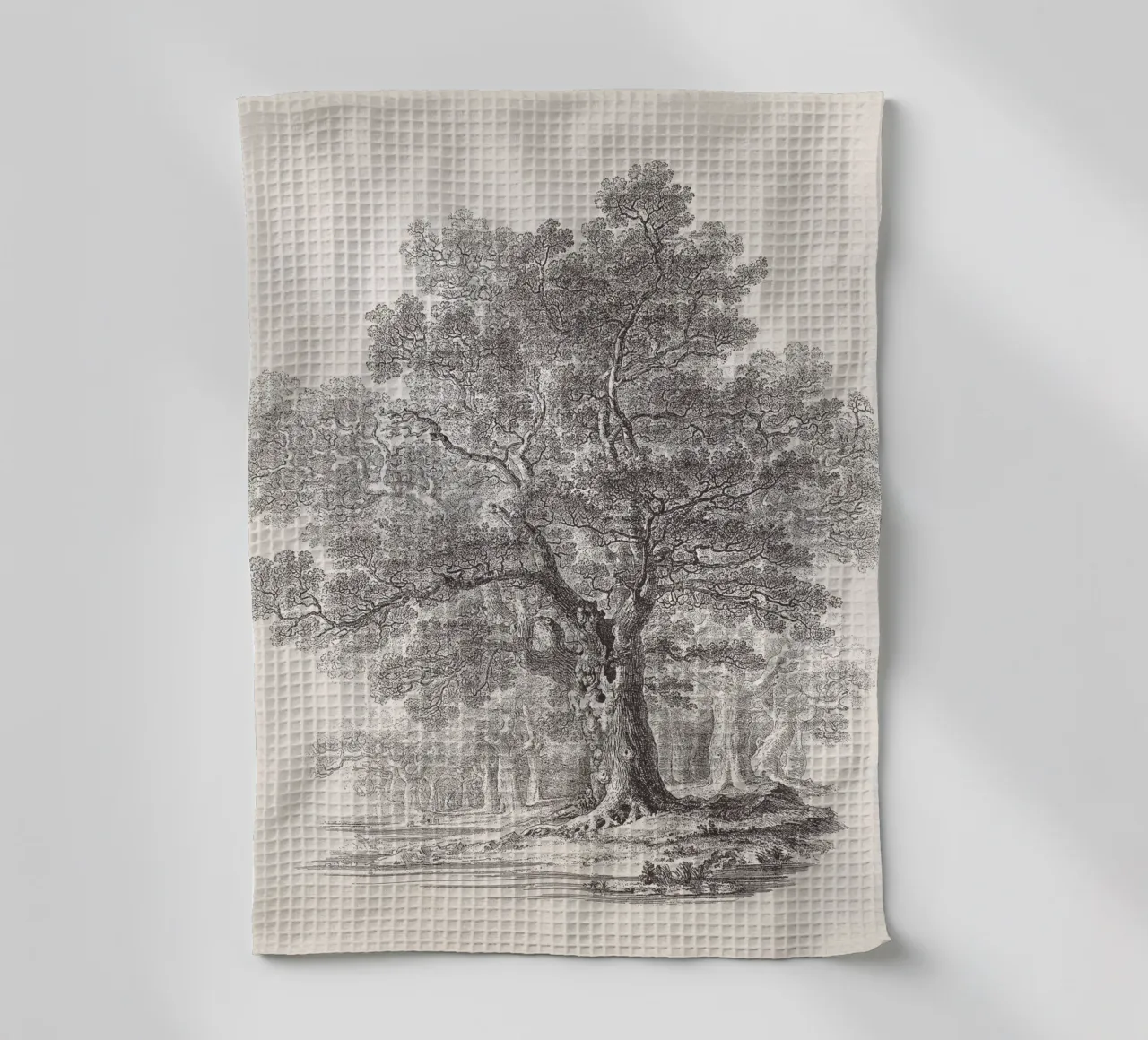 Tree Sketch - Oak Forest canovaccio da cucina da apoloprints
