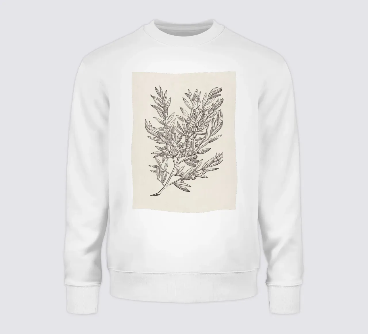 Olive Branch Sketch no. 5 felpa da apoloprints