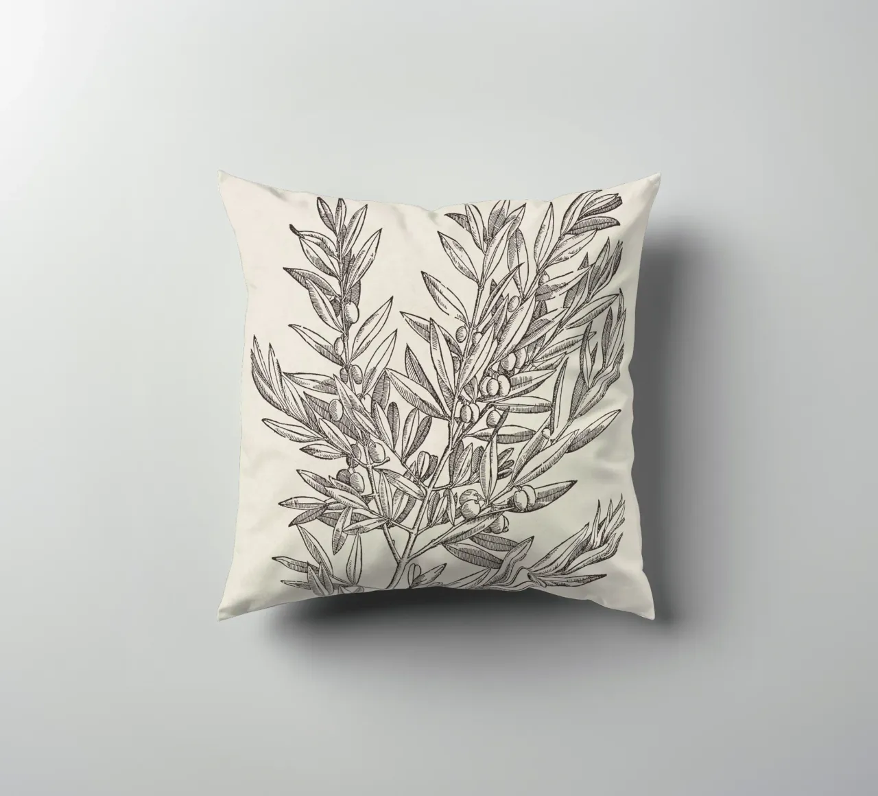 Olive Branch Sketch no. 5 cuscino da apoloprints