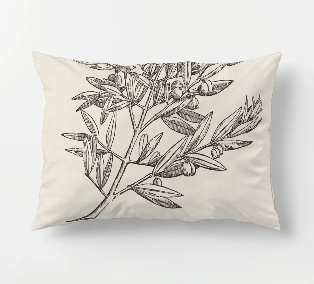 Olive Branch Sketch no. 5 cuscino da apoloprints