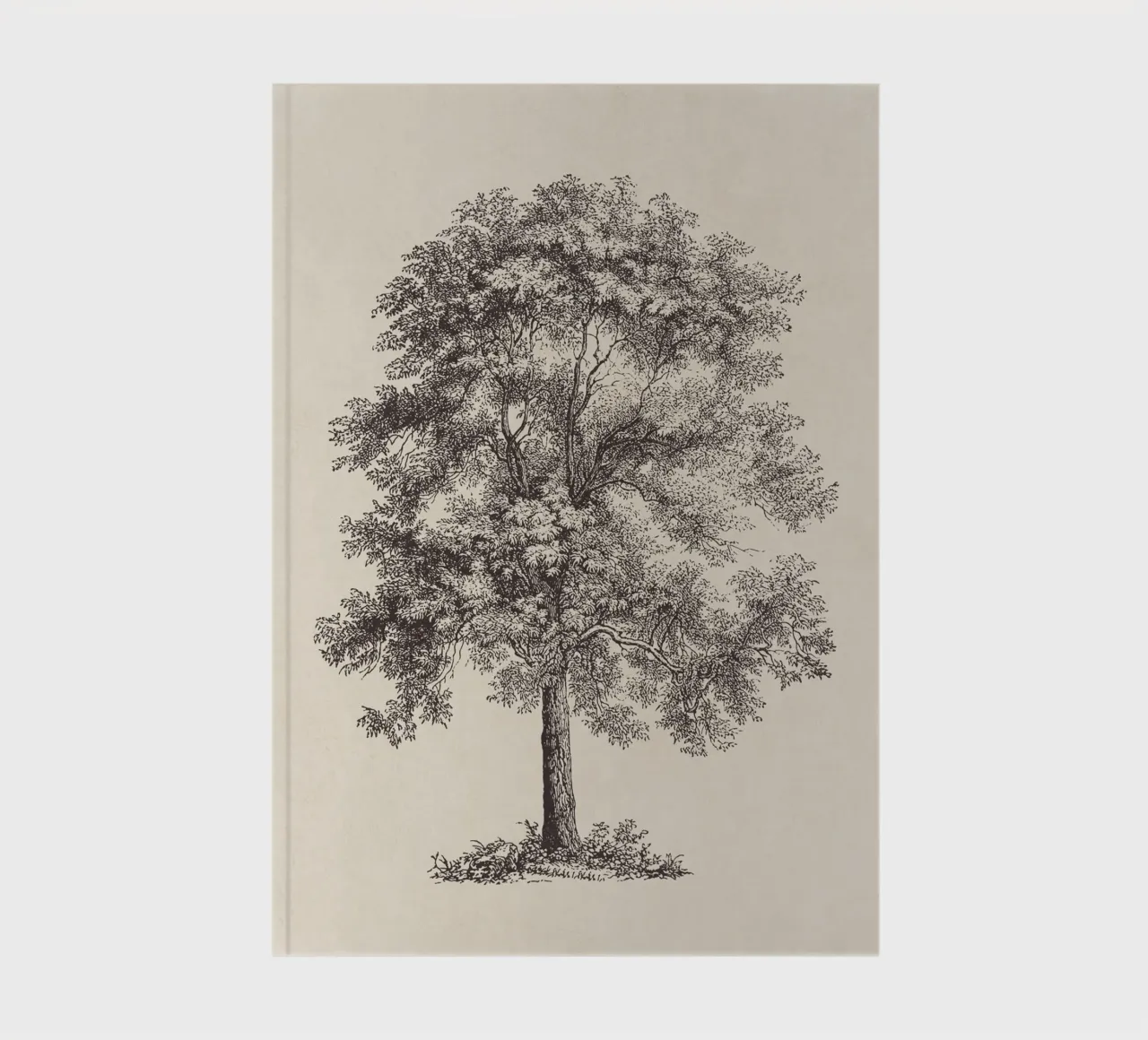 Tree Sketch - Common Ash notebook by apoloprints