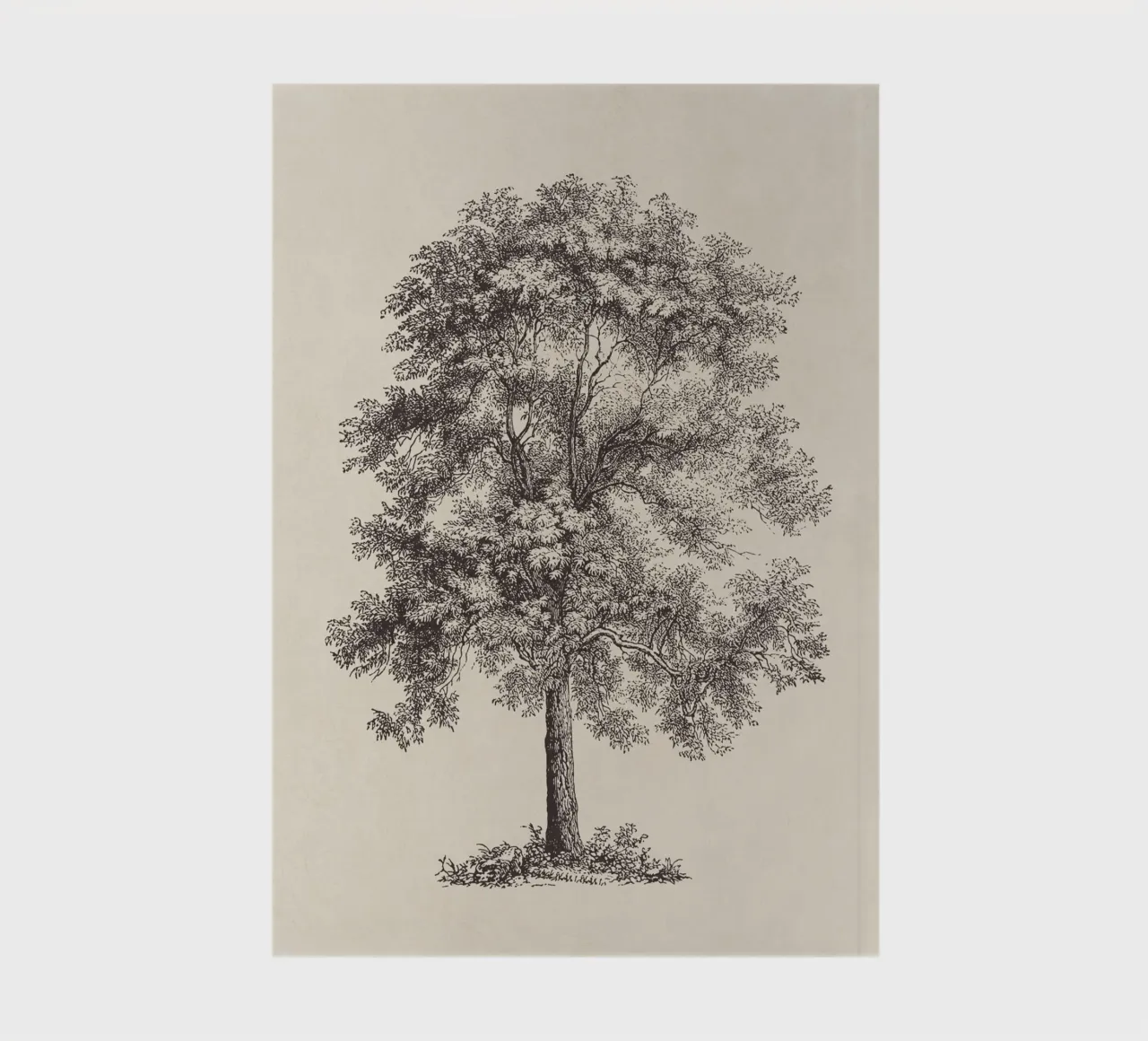 Tree Sketch - Common Ash notebook by apoloprints