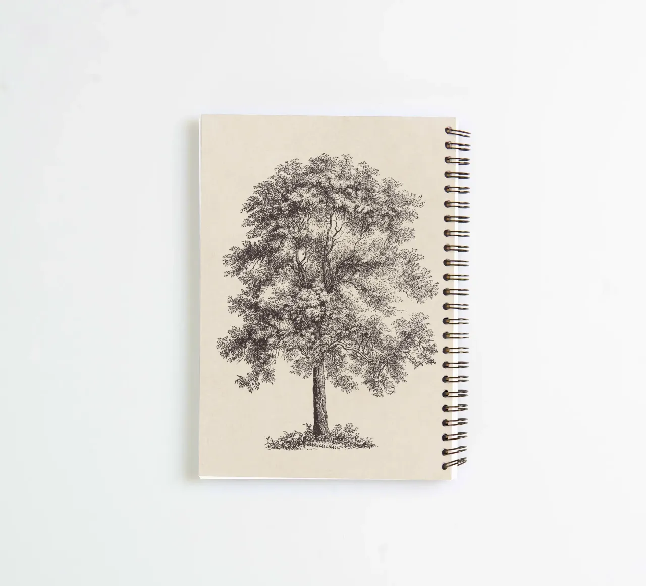 Tree Sketch - Common Ash spiral notebook by apoloprints