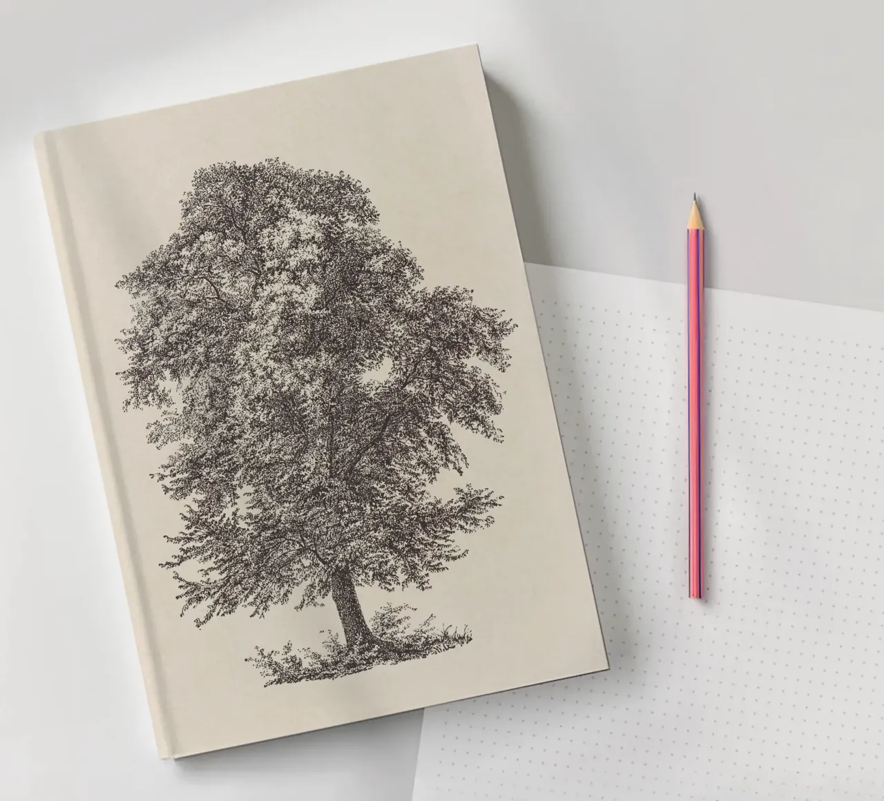 Tree Sketch - Common Beech notebook by apoloprints