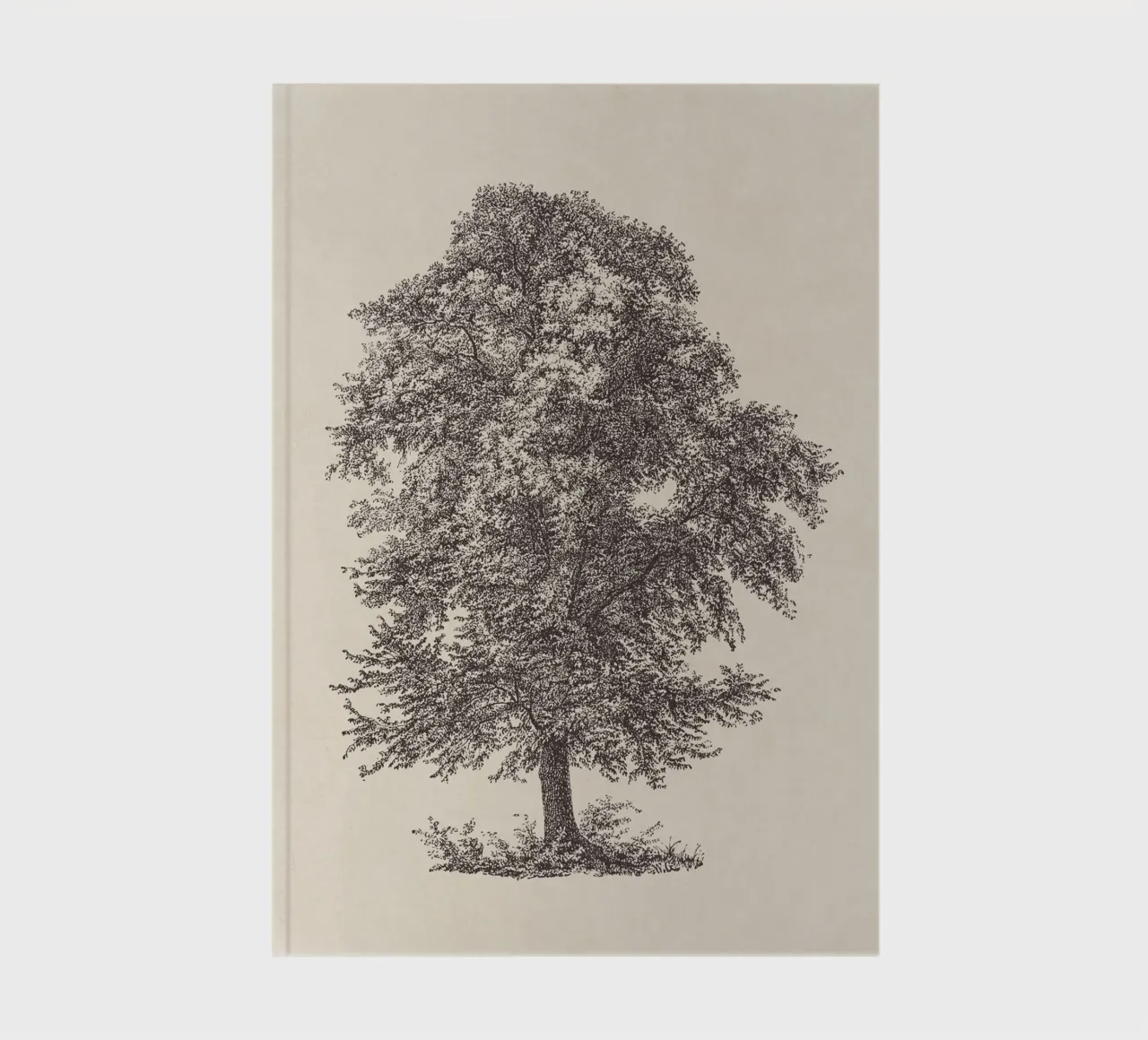 Tree Sketch - Common Beech notebook by apoloprints