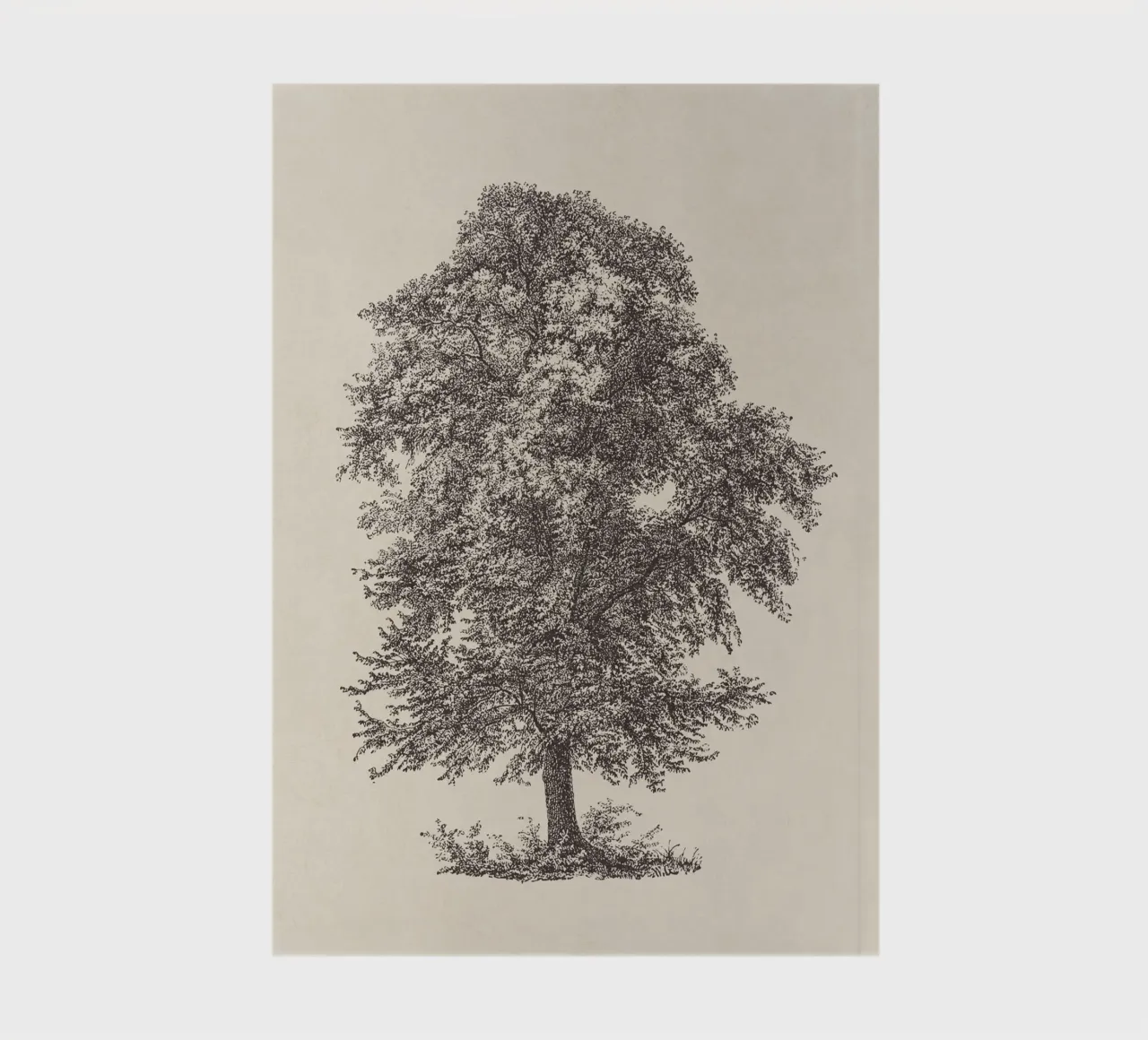 Tree Sketch - Common Beech notebook by apoloprints