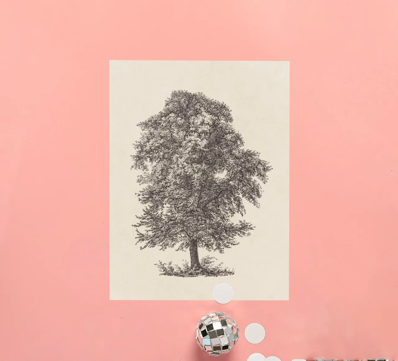 Tree Sketch - Common Beech adesivo da apoloprints