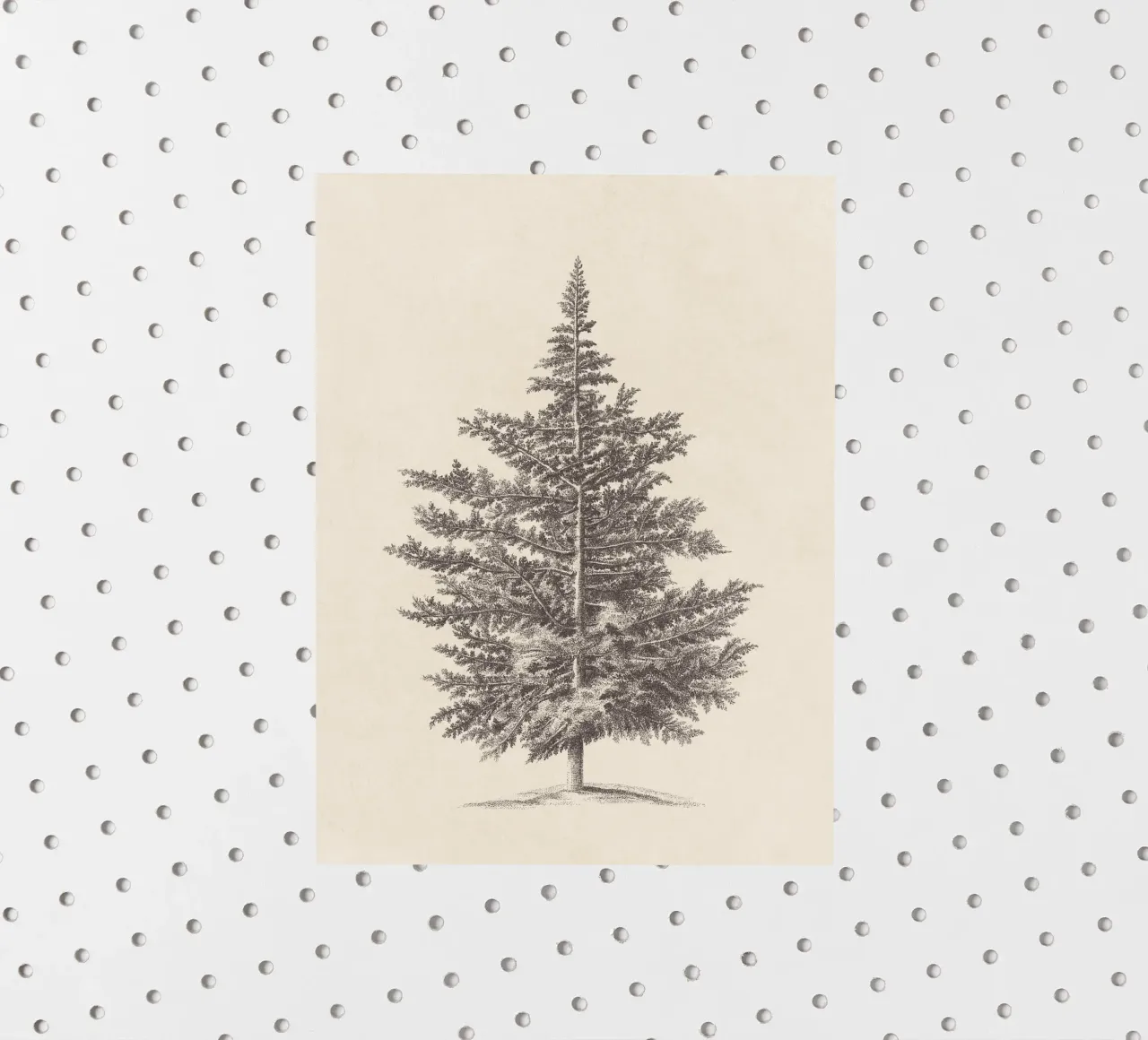 Tree Sketch - Conifer adesivo da apoloprints