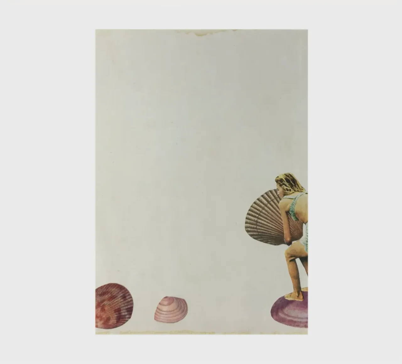Shell Collector notebook by Cassia Beck Collage