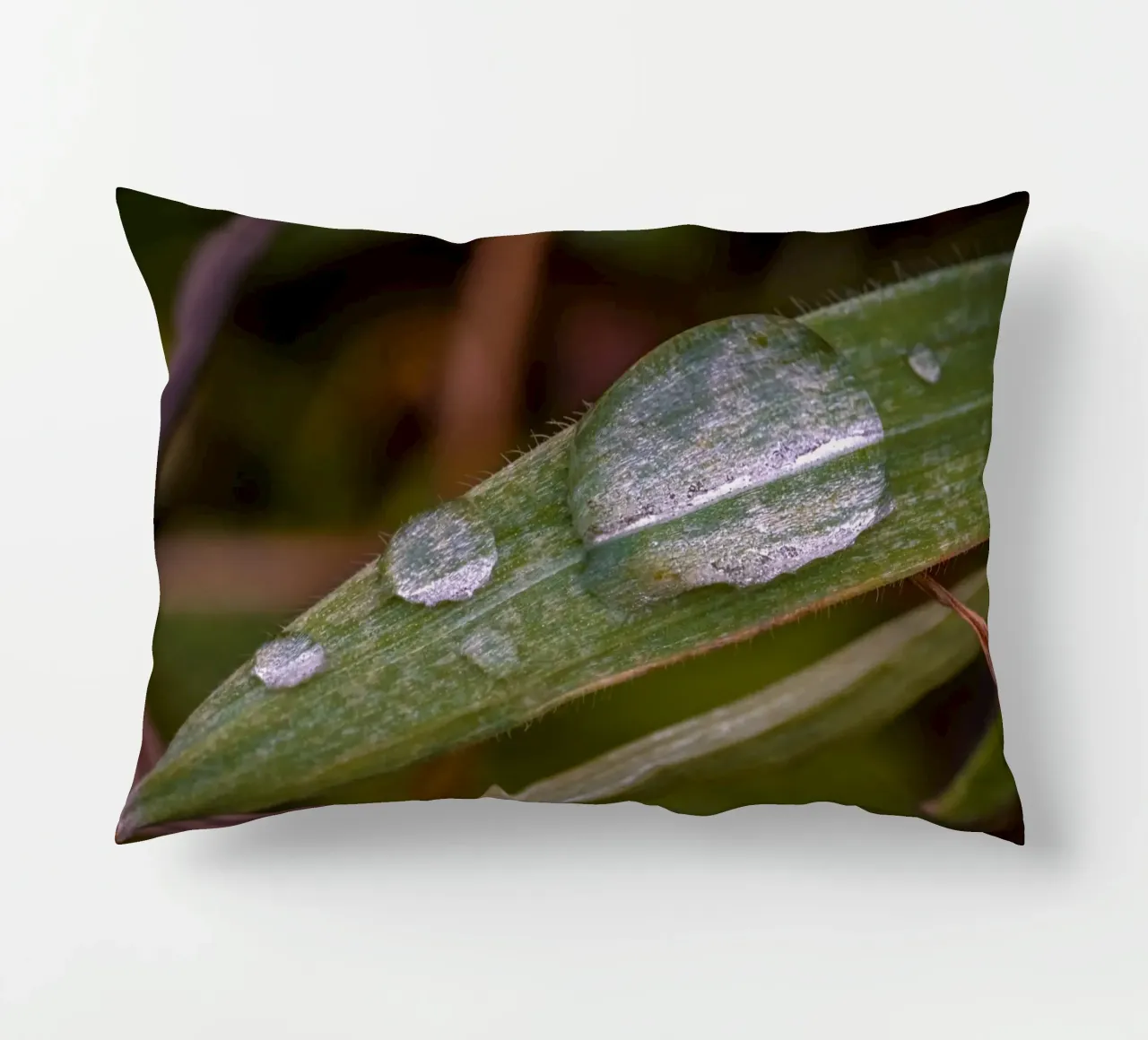 Gocce d'acqua su un filo d'erba cuscino da Marcus Beckert | Fotografie