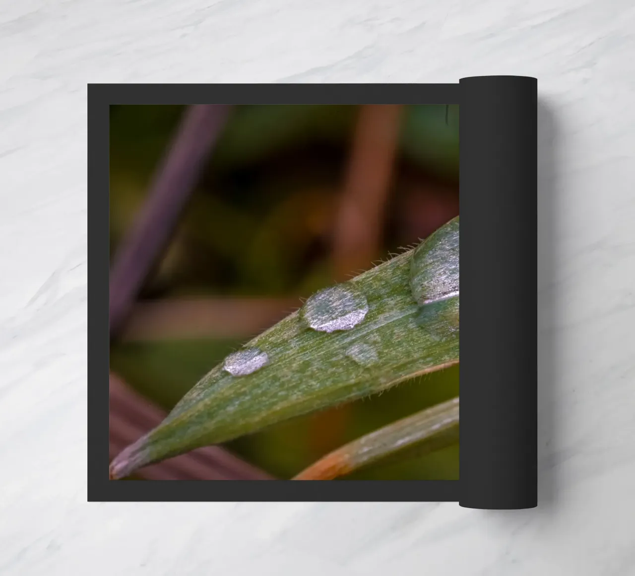 Gocce d'acqua su un filo d'erba zerbino da Marcus Beckert | Fotografie
