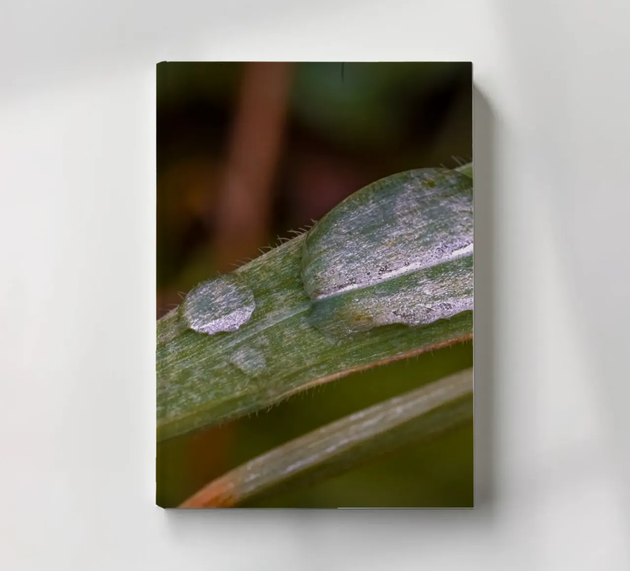 Drops of water on a blade of grass notebook by Marcus Beckert | Fotografie
