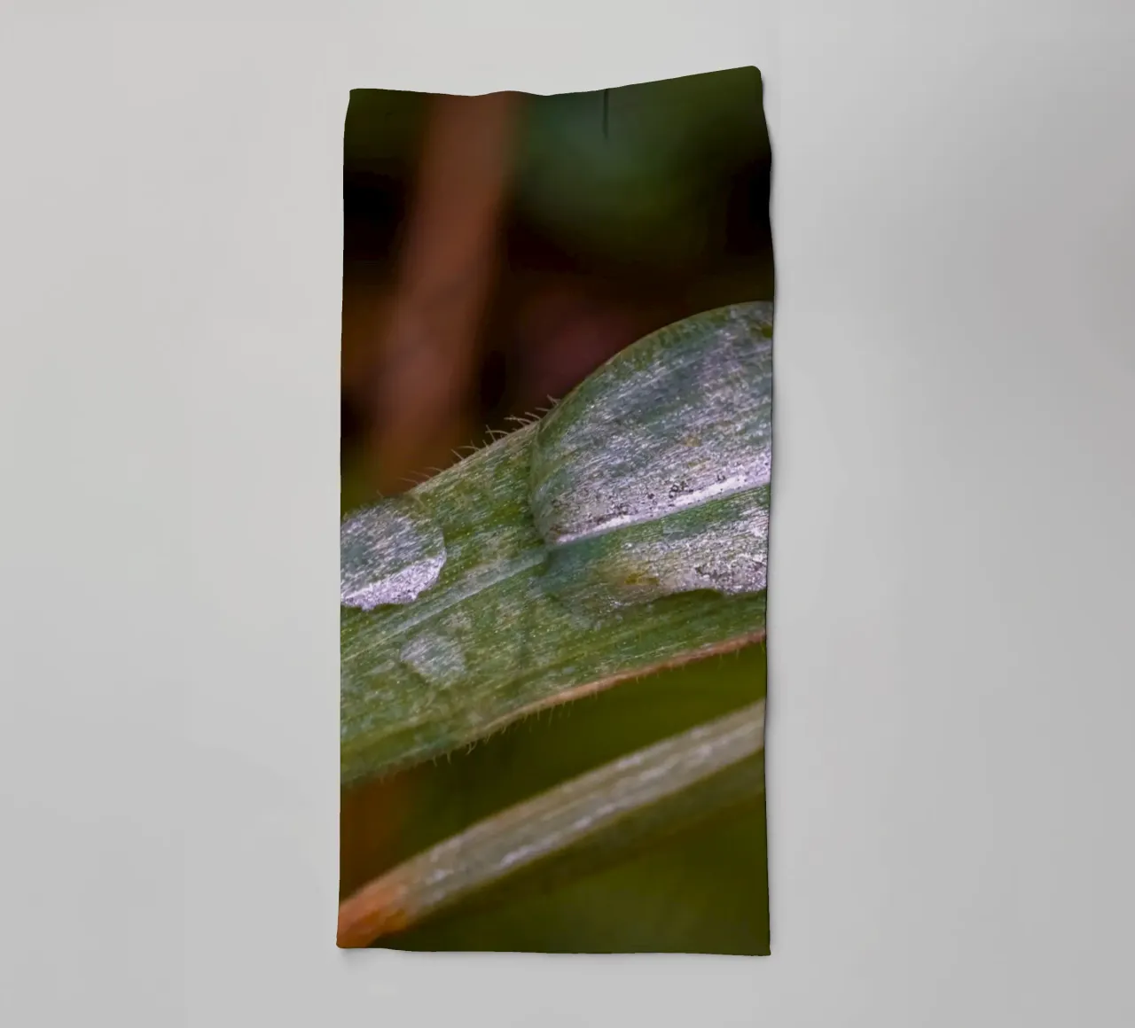 Gocce d'acqua su un filo d'erba asciugamano da bagno da Marcus Beckert | Fotografie