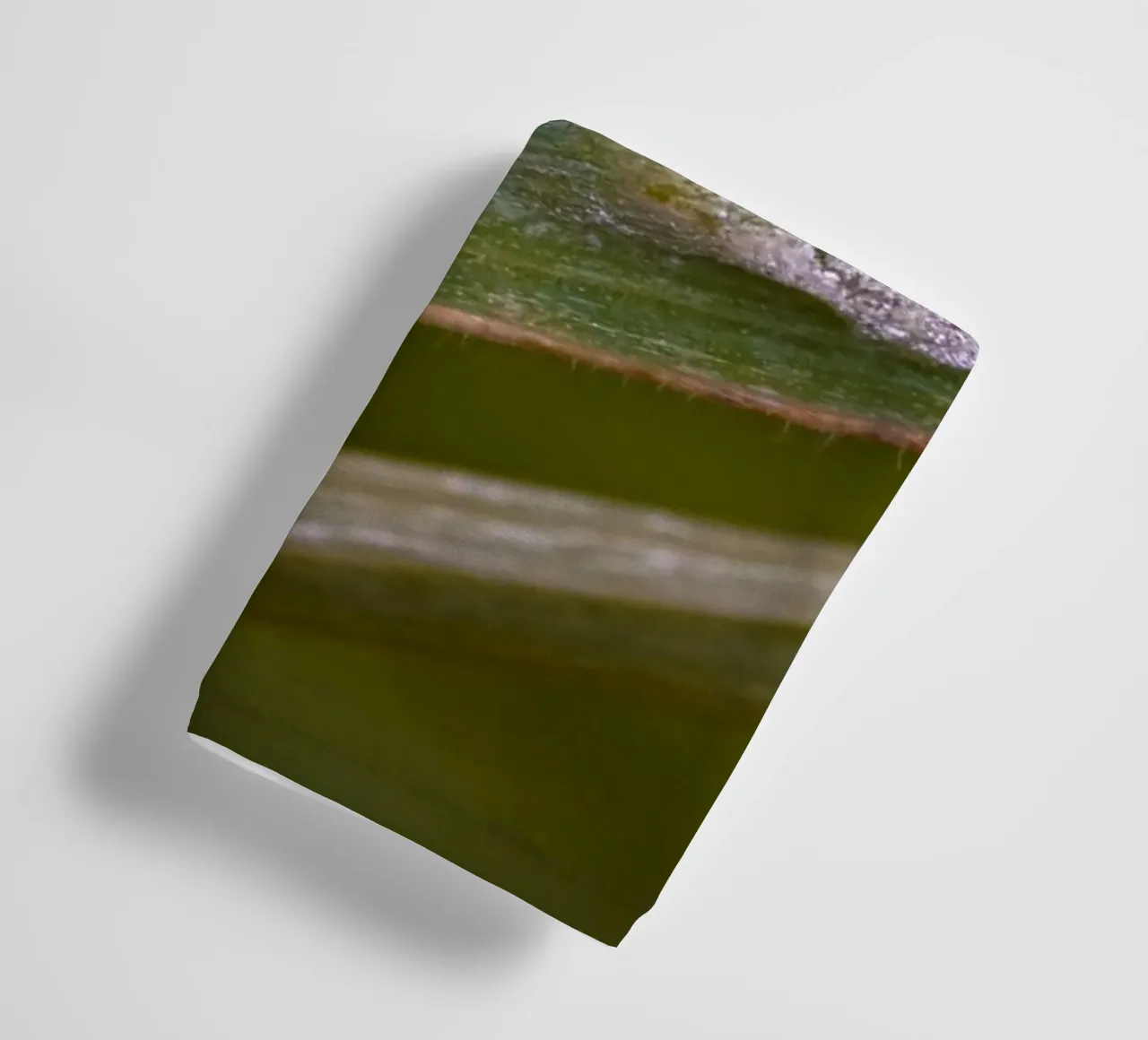 Gocce d'acqua su un filo d'erba asciugamano da bagno da Marcus Beckert | Fotografie