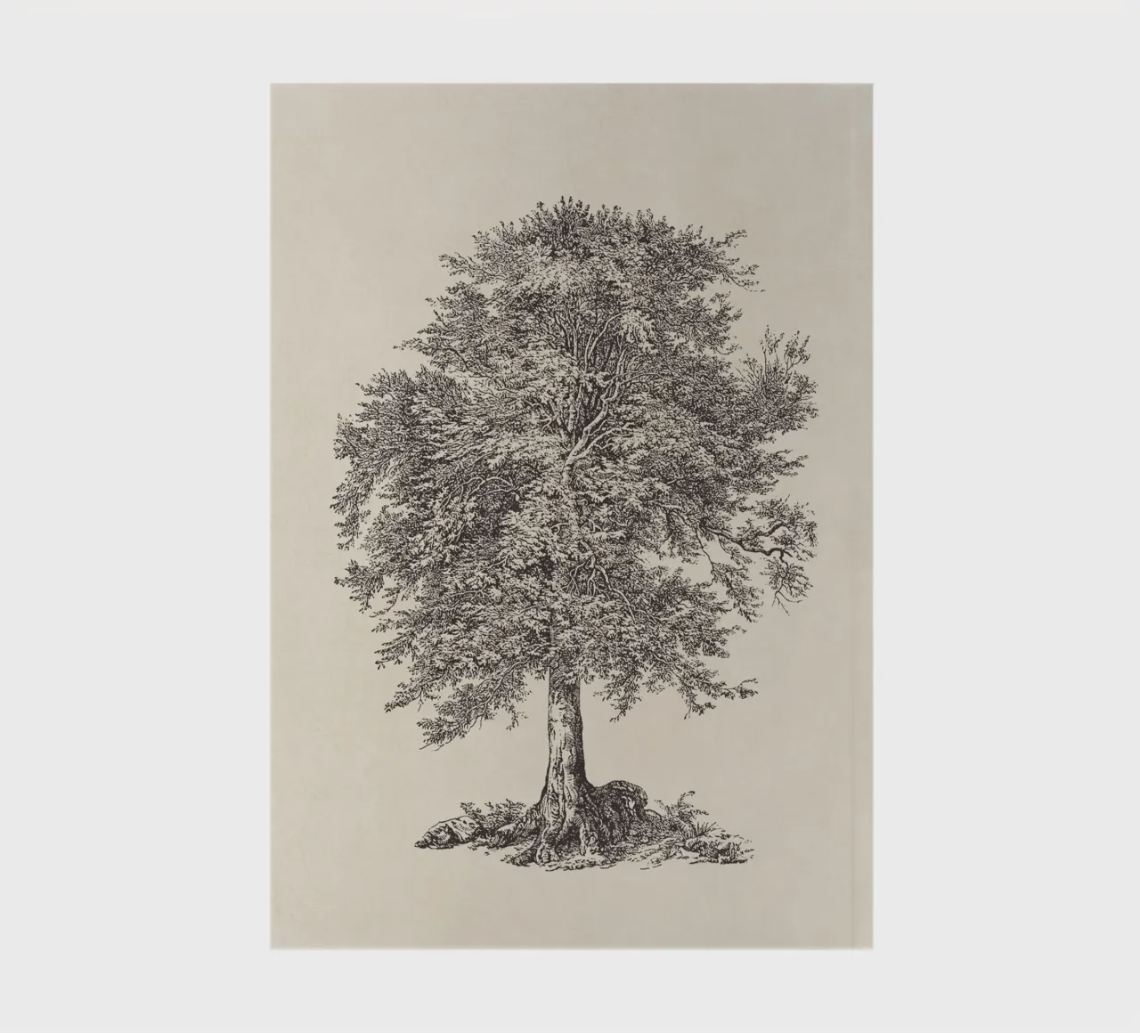 Tree Sketch - Elm notebook by apoloprints