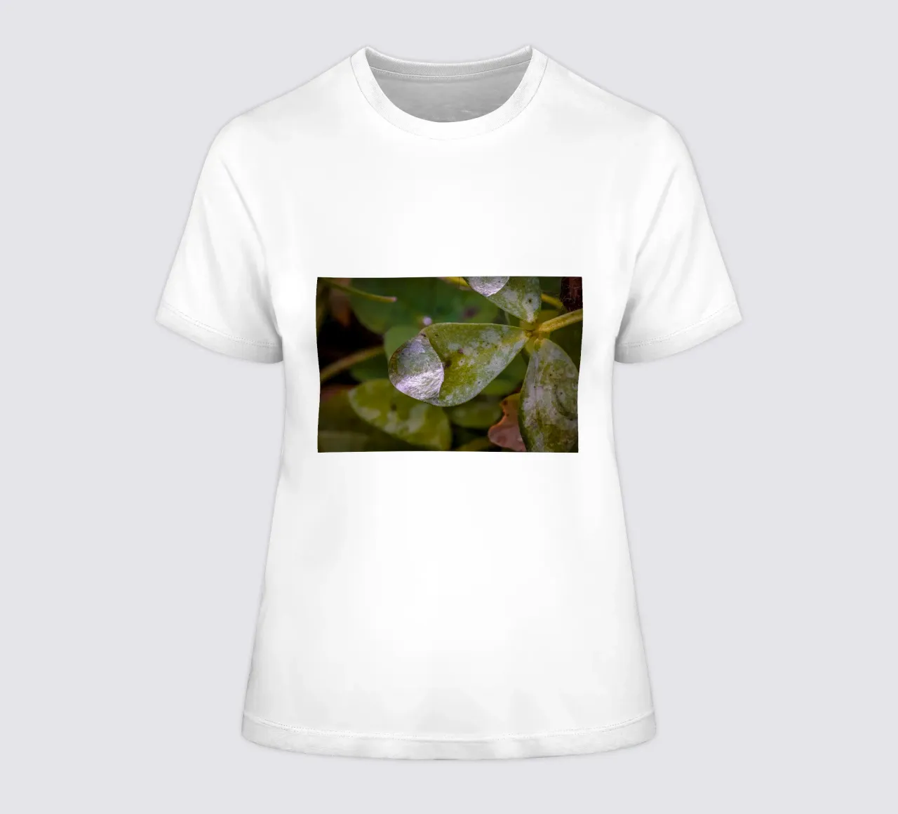 Wassertropfen auf einem dreiblättrigem Kleeblatt Frauen T-Shirt von Marcus Beckert | Fotografie