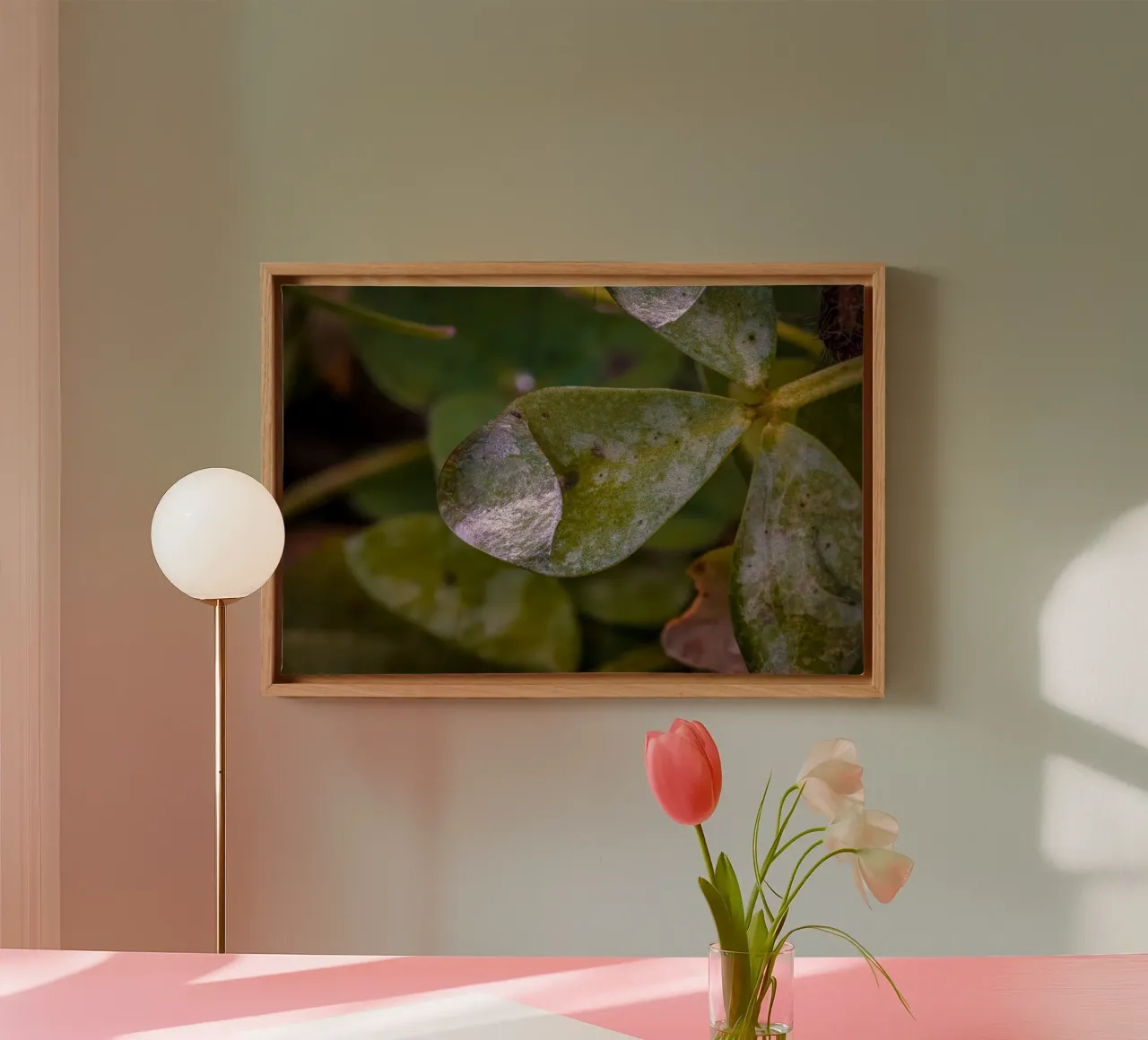 Wassertropfen auf einem dreiblättrigem Kleeblatt Leinwand von Marcus Beckert | Fotografie