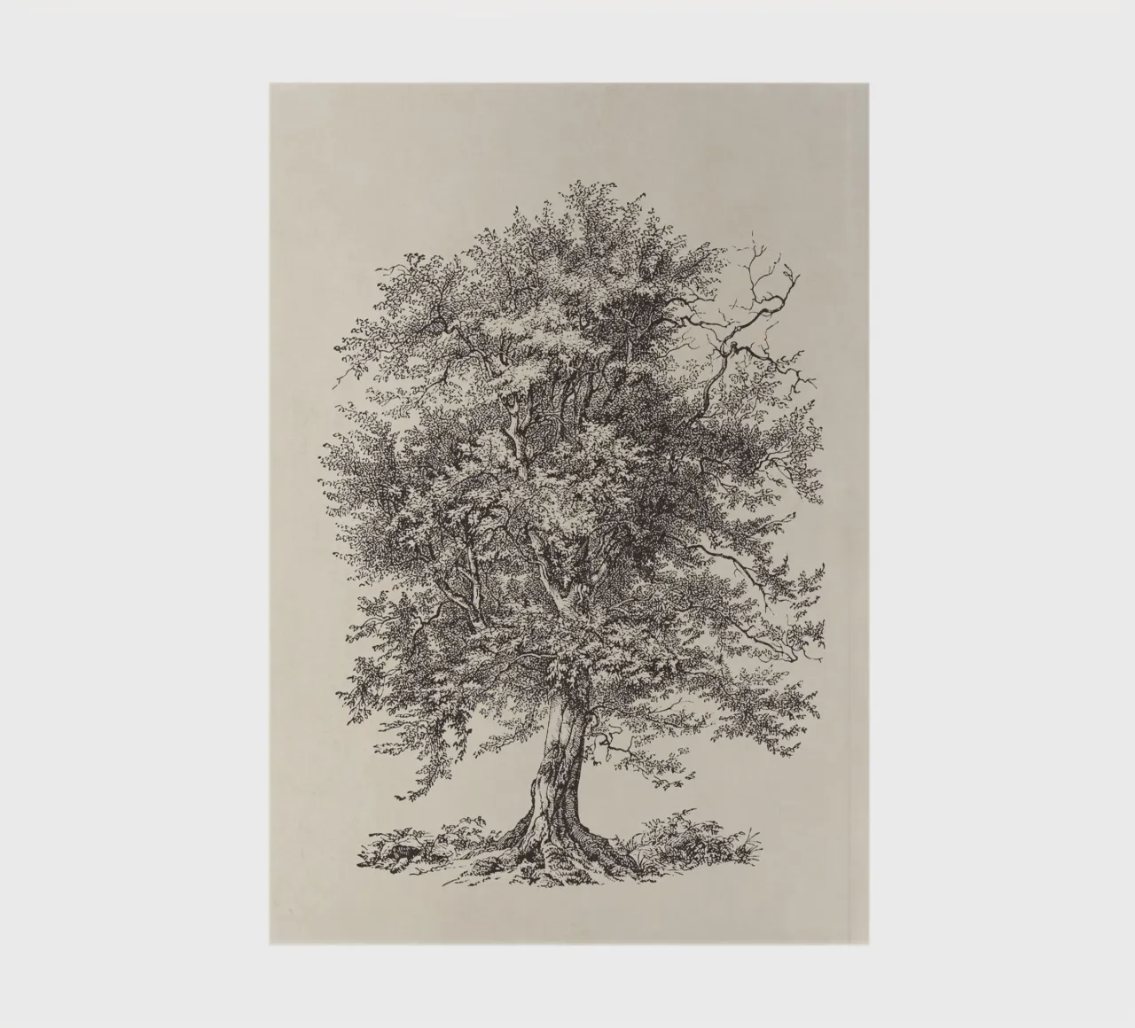 Tree Sketch - Hornbeam notebook by apoloprints