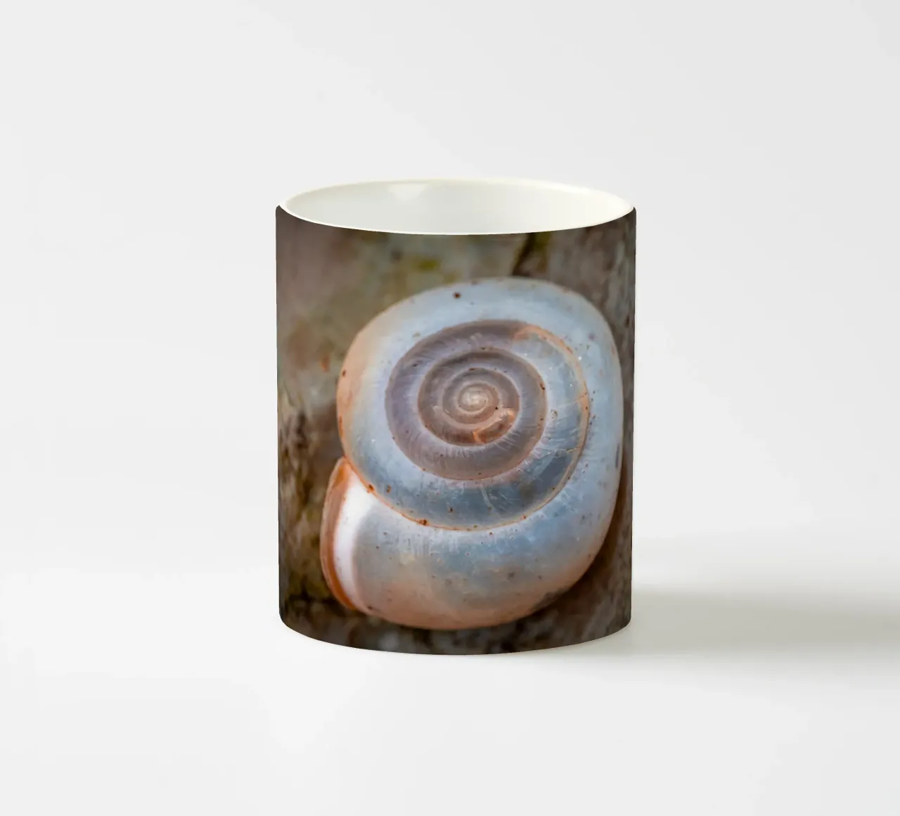 Snail shell of the Carthusian snail ceramic mug by Marcus Beckert | Fotografie