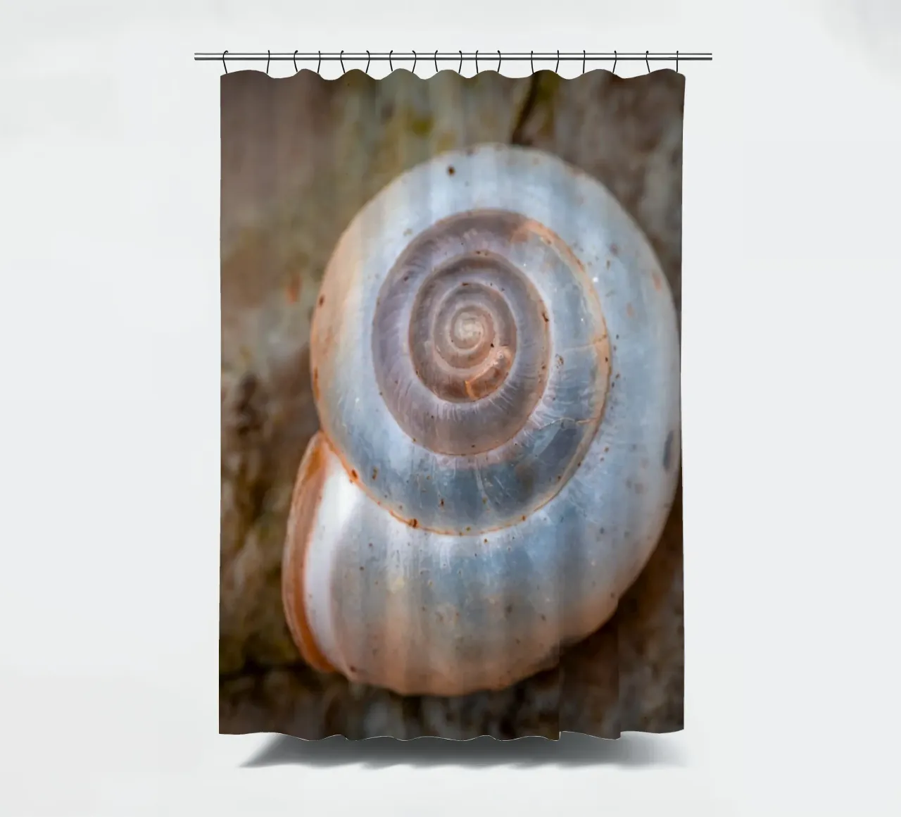 Snail shell of the Carthusian snail shower curtain by Marcus Beckert | Fotografie