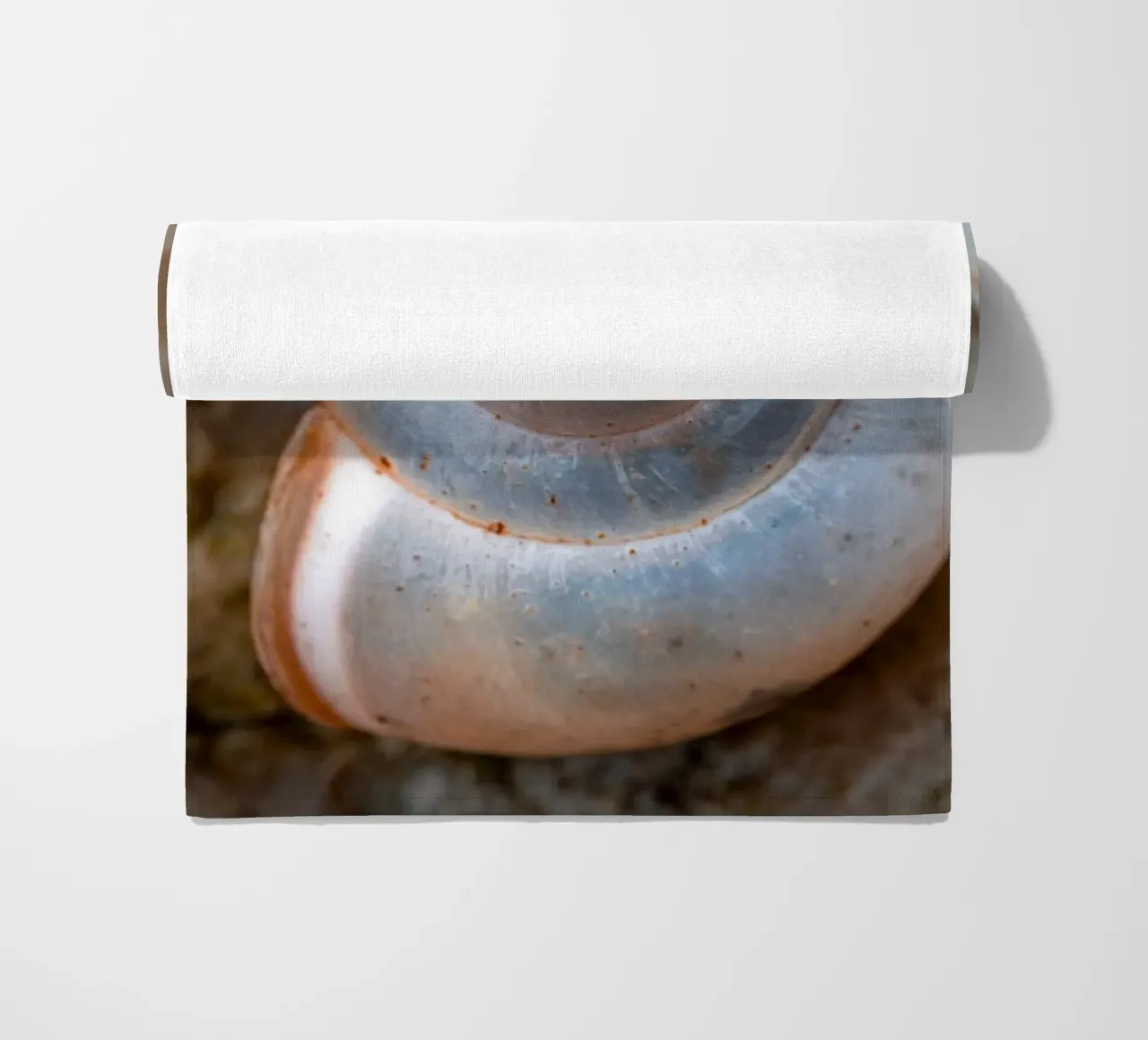 Snail shell of the Carthusian snail beach towel by Marcus Beckert | Fotografie