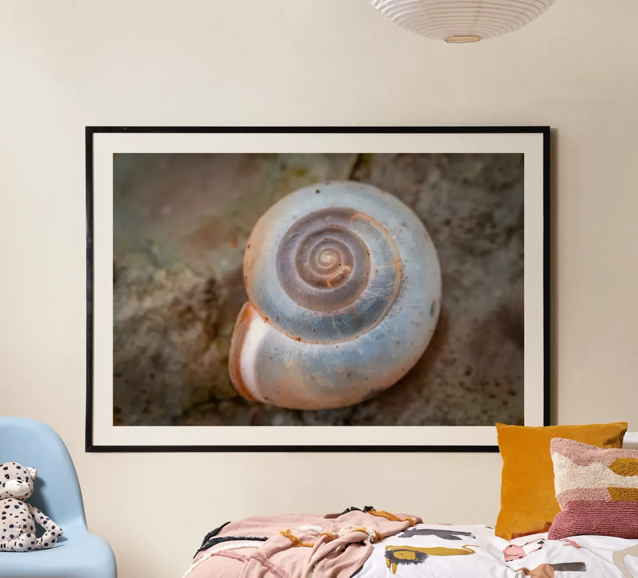 Snail shell of the Carthusian snail hahnemühle by Marcus Beckert | Fotografie