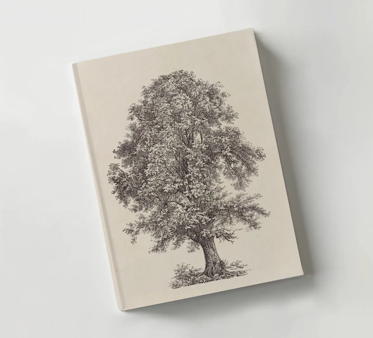 Tree Sketch - Linden notebook by apoloprints