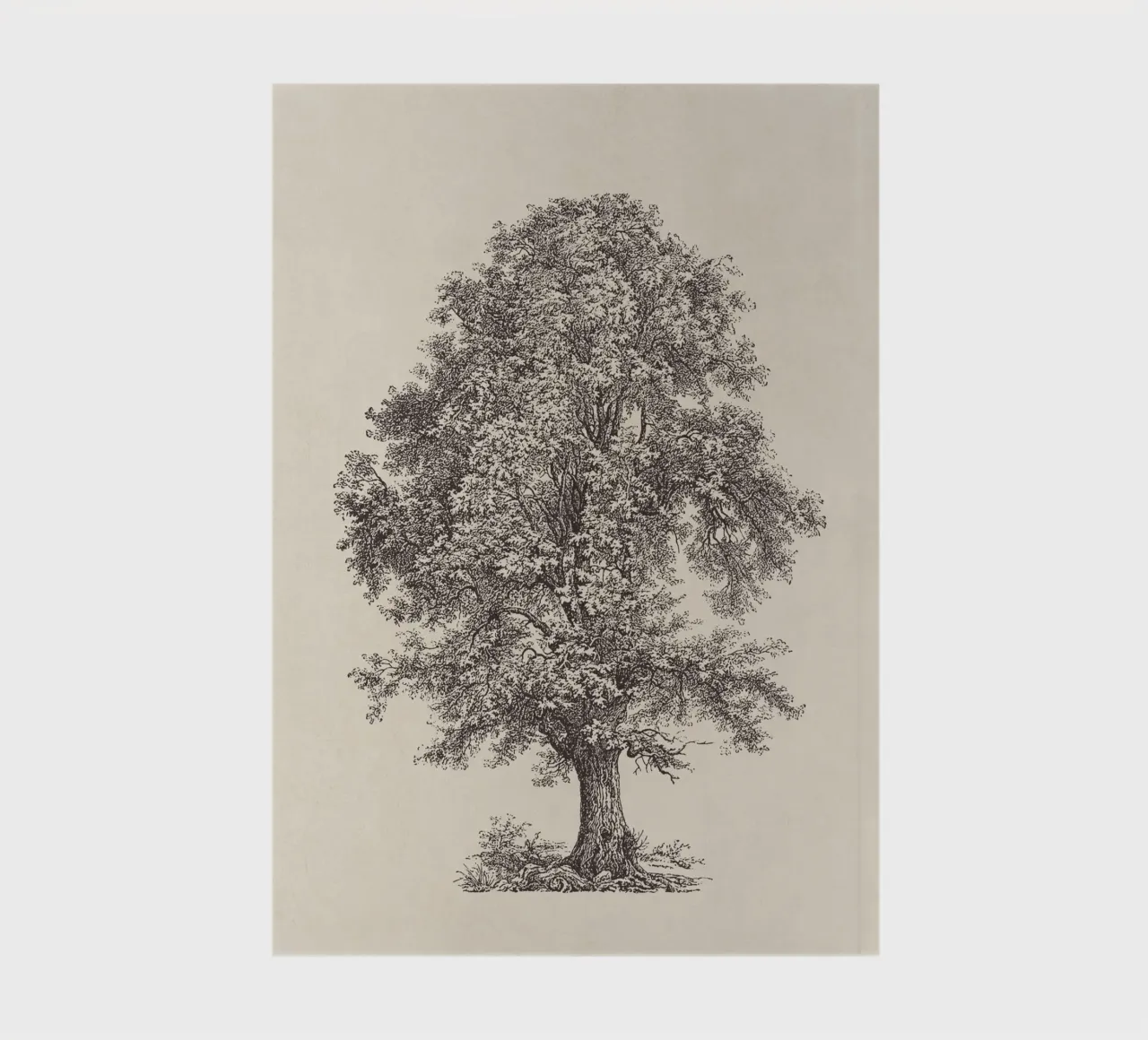 Tree Sketch - Linden notebook by apoloprints