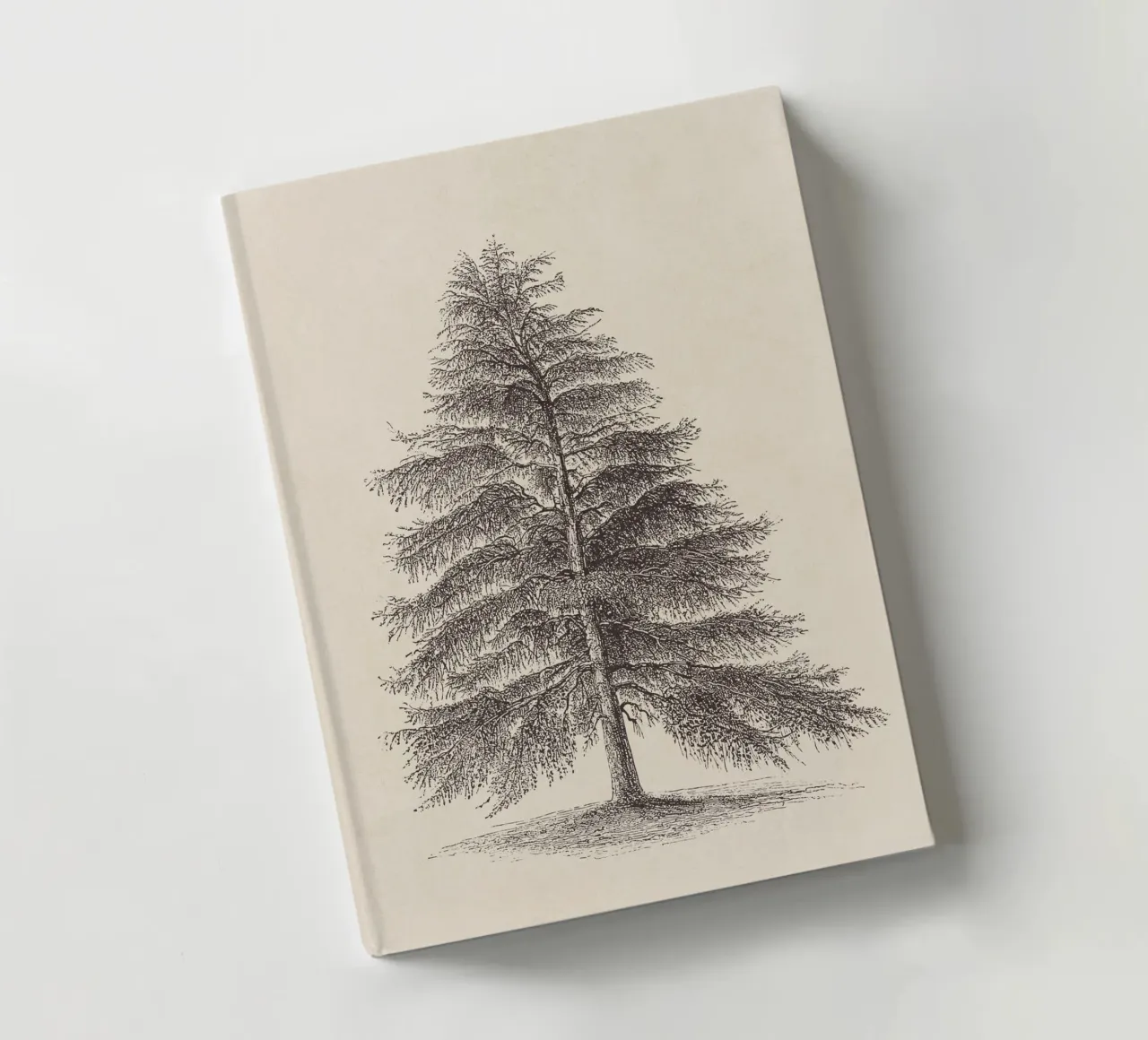 Tree Sketch - Larch notebook by apoloprints