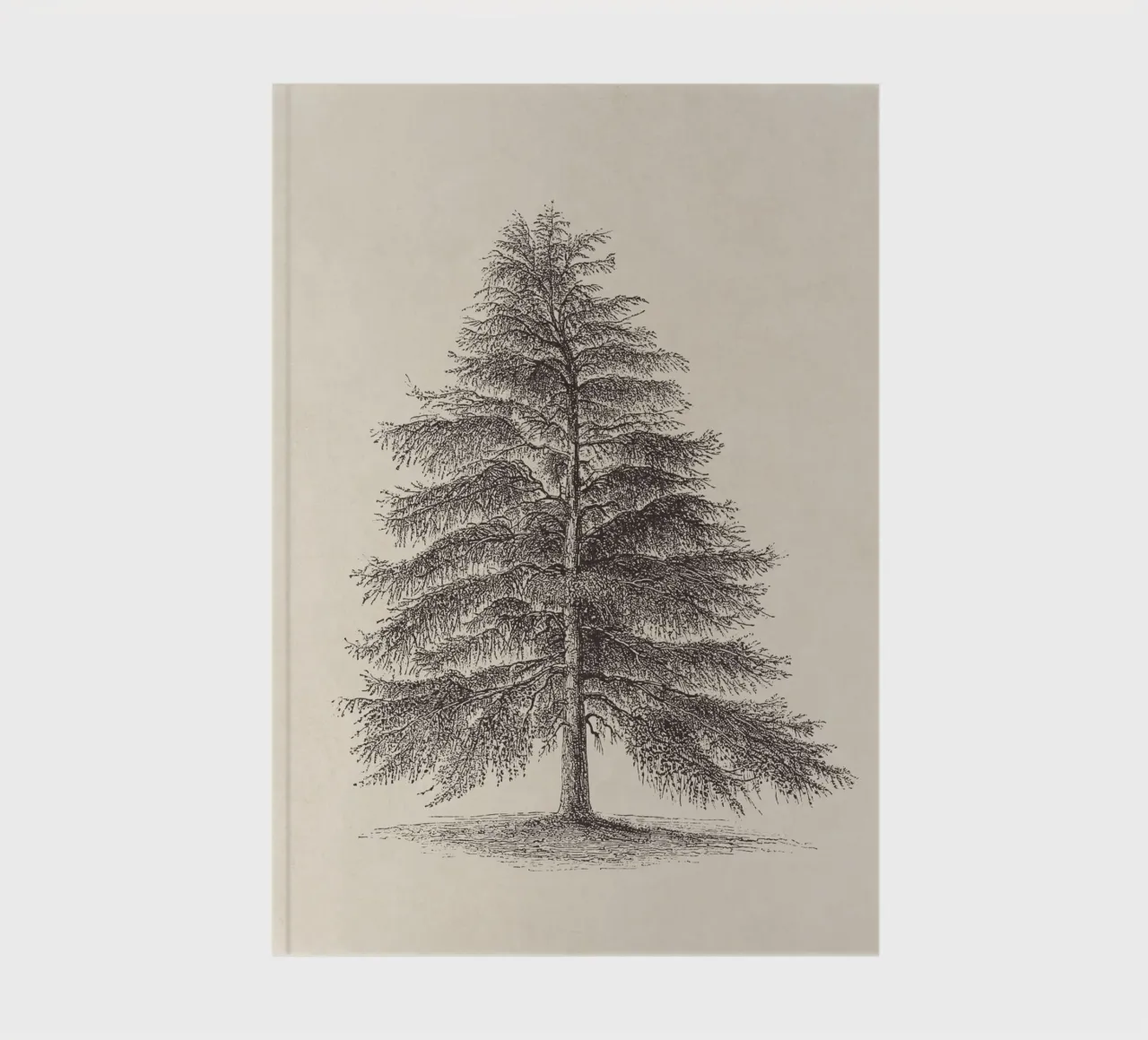 Tree Sketch - Larch notebook by apoloprints