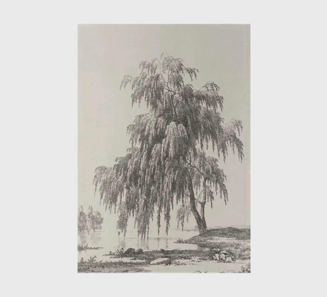 Tree Landscape Weeping Willow diario da apoloprints