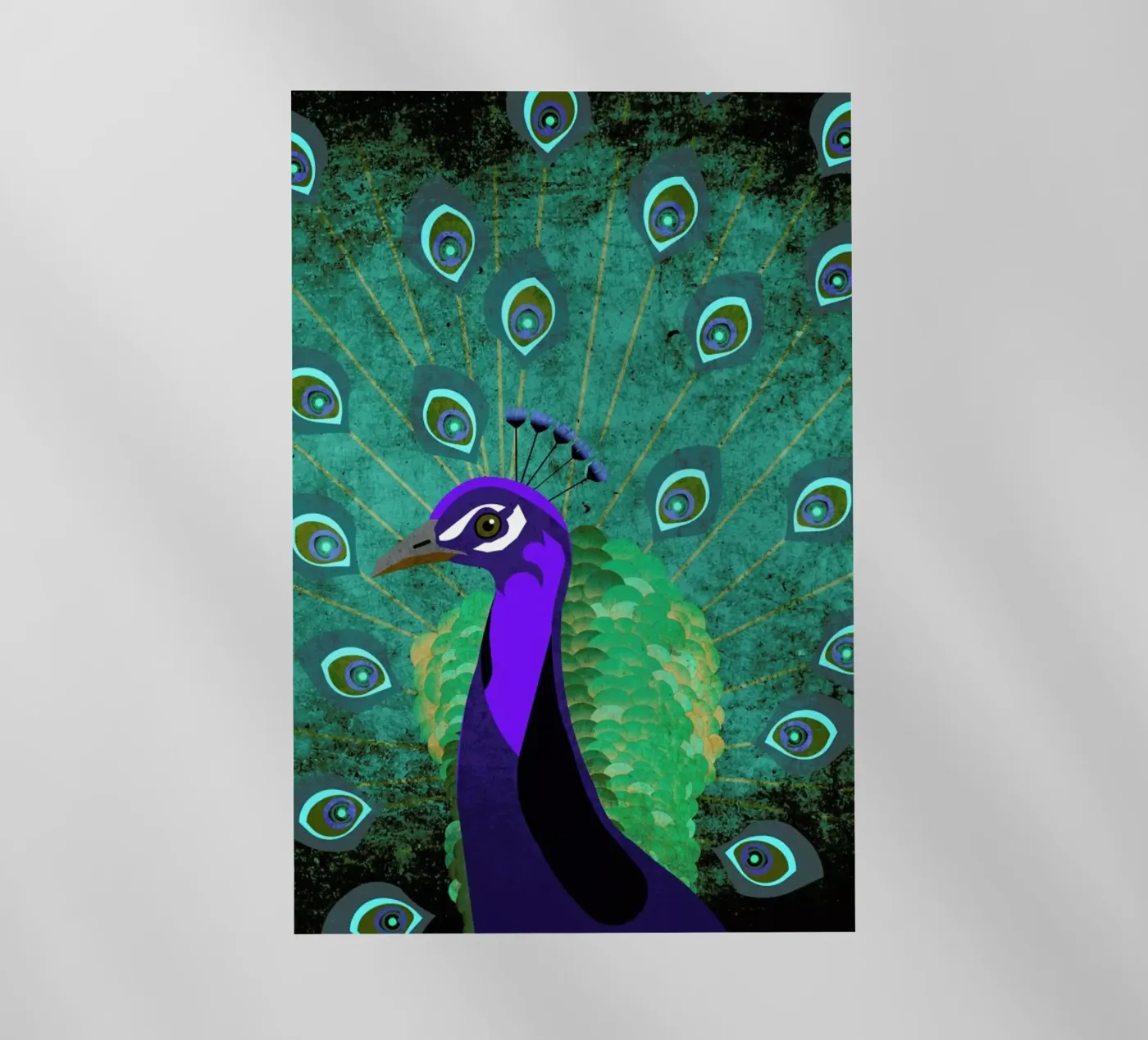 Pfau pellicola backlit da Sabrina Ziegenhorn