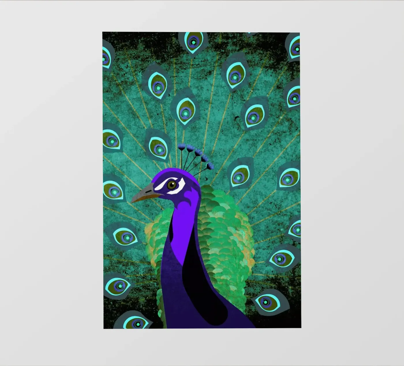 Pfau pellicola backlit da Sabrina Ziegenhorn