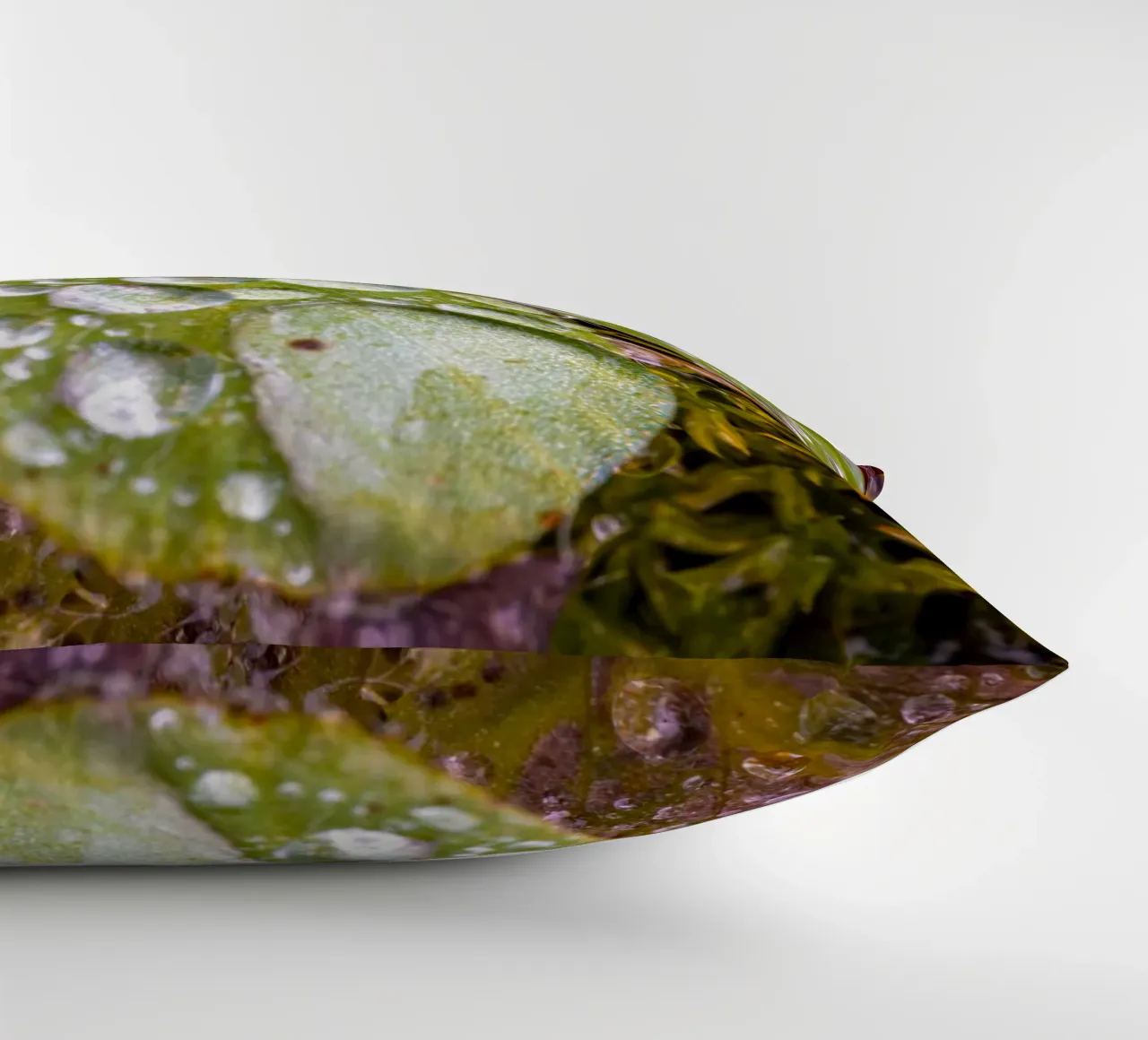 Gocce d'acqua su un trifoglio cuscino da Marcus Beckert | Fotografie