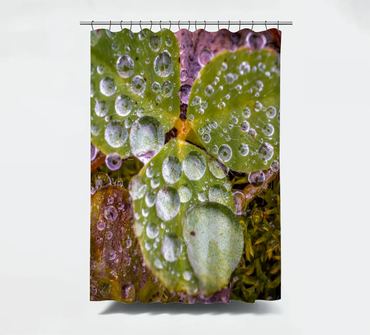 Drops of water on a shamrock shower curtain by Marcus Beckert | Fotografie