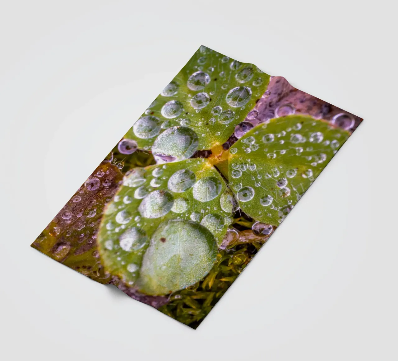 Wassertropfen auf einem Kleeblatt Fleecedecke von Marcus Beckert | Fotografie
